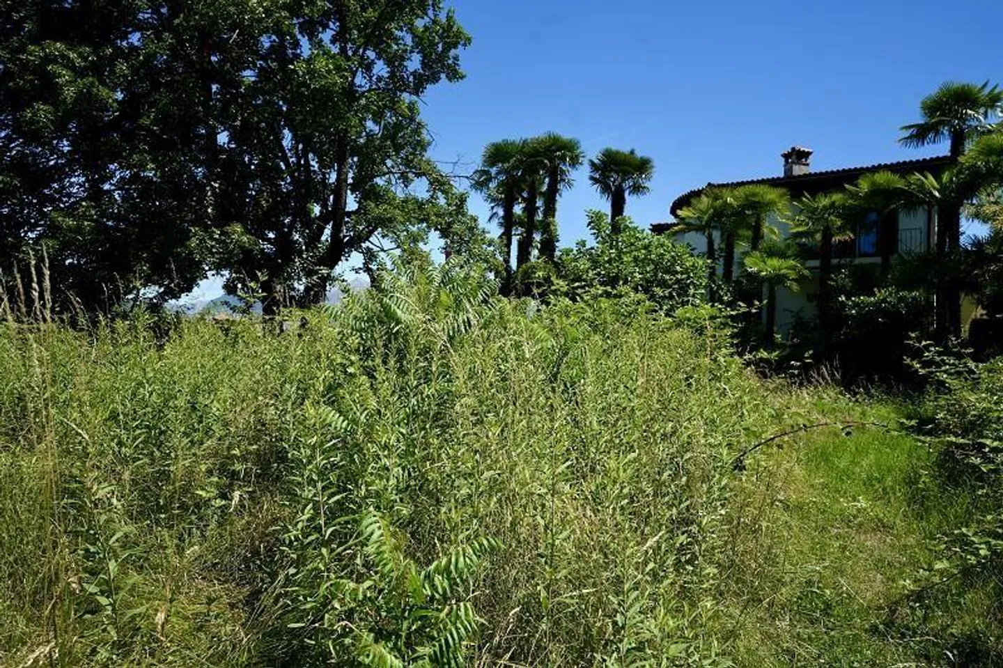 Terrain constructible avec vue panoramique magnifique sur le lac - Photo 11 sur 17