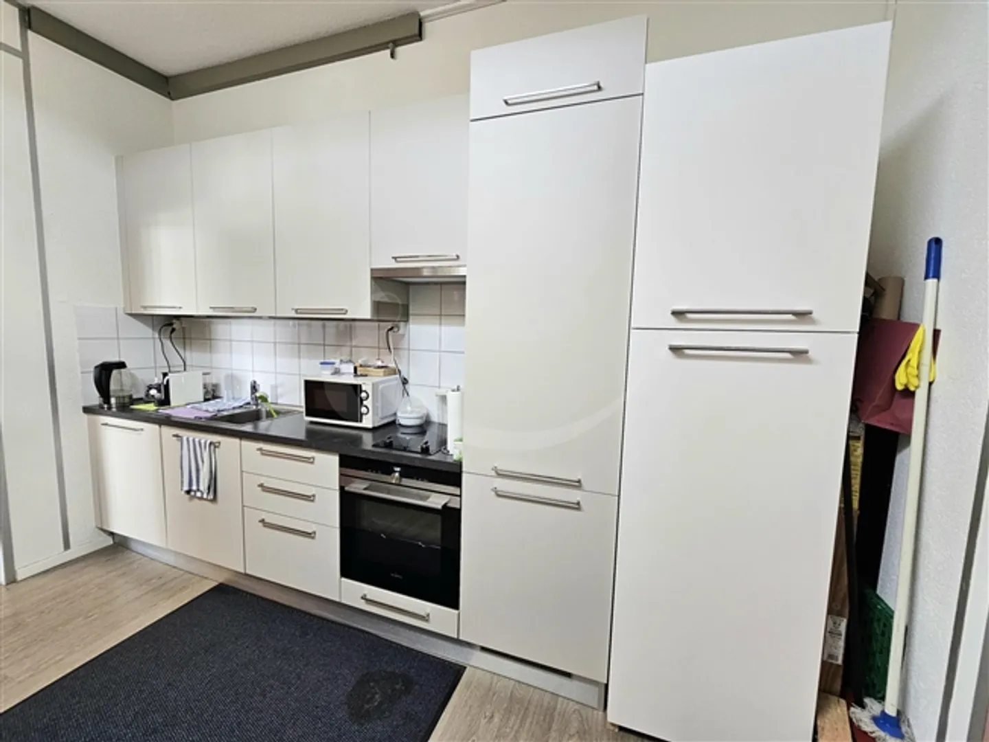 Unique Investment Opportunity in the Heart of Carouge - Photo 6 of 10