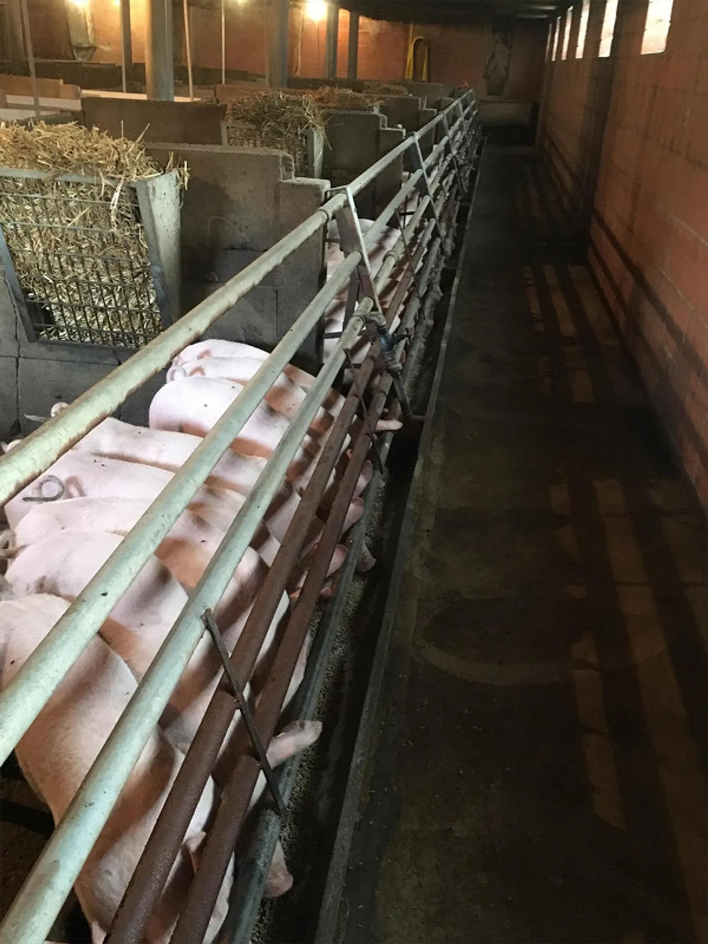 Edificio residenziale e edificio economico agricolo - Foto 8 di 12