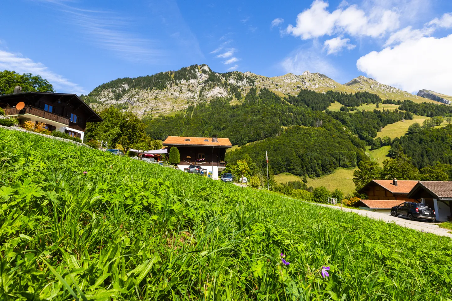 New project: Alpine beauty to experience every day - Photo 5 of 10