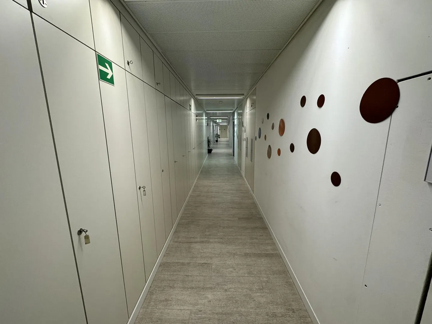 Gewerbefläche zu Vermieten - Foto 9 von 29