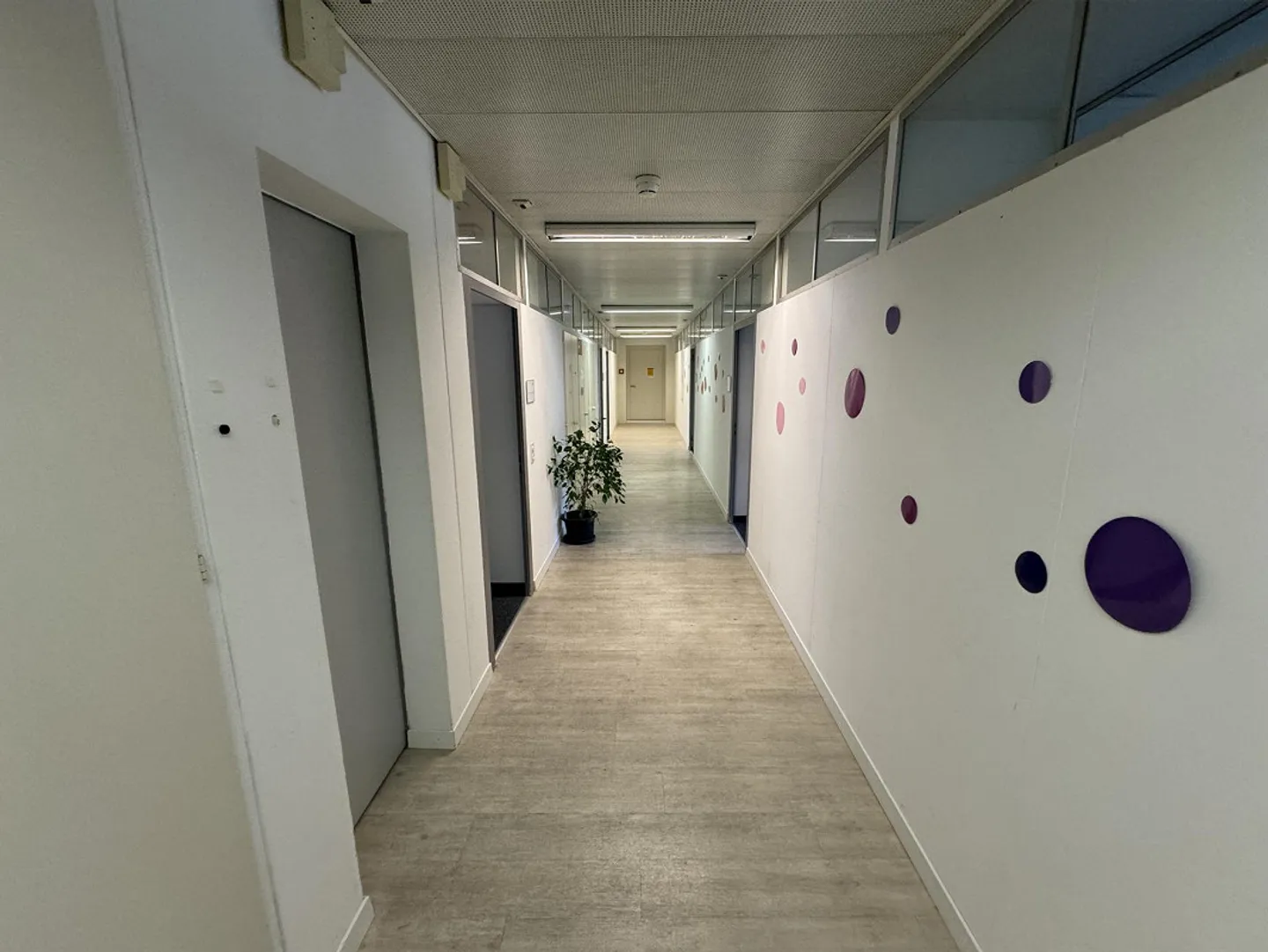 Gewerbefläche zu Vermieten - Foto 15 von 29