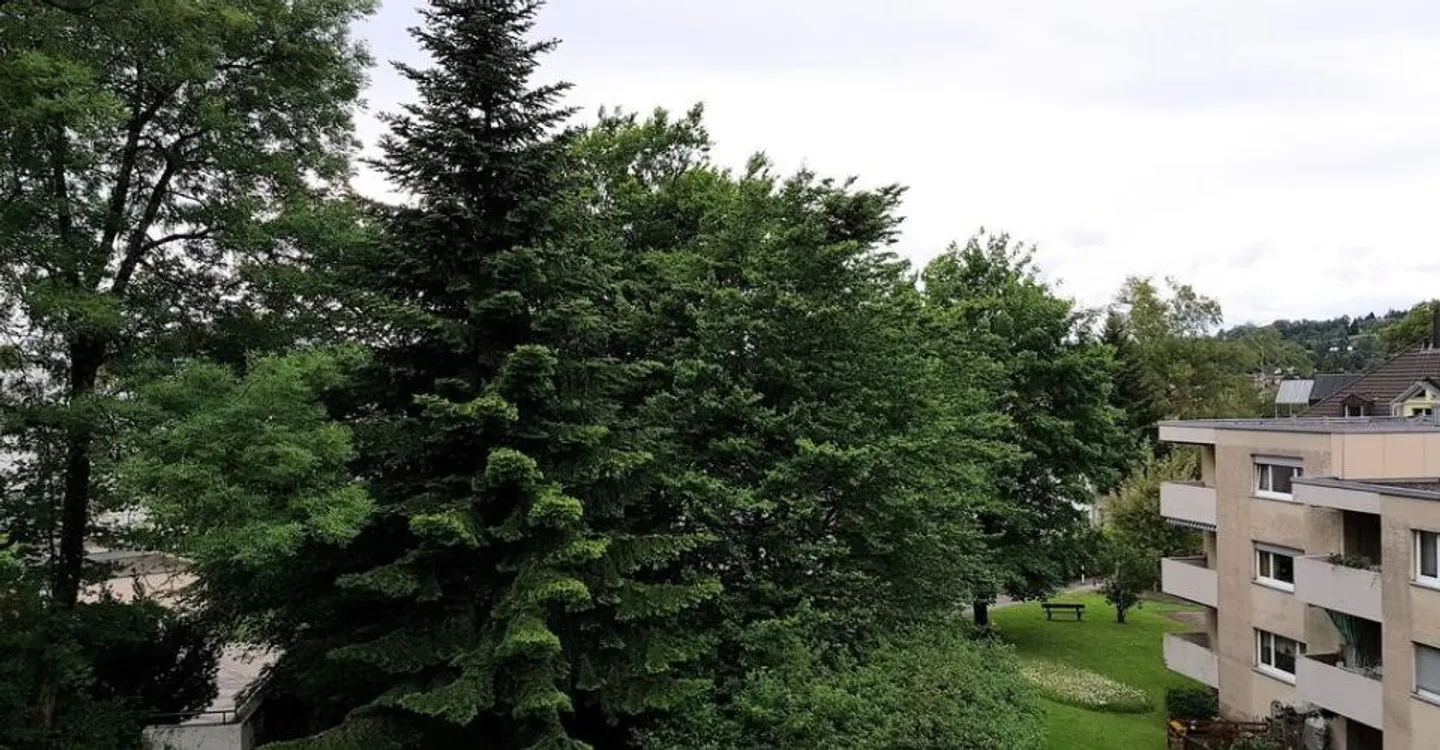Beautiful Living in a Child-Friendly Neighborhood - Photo 9 of 9