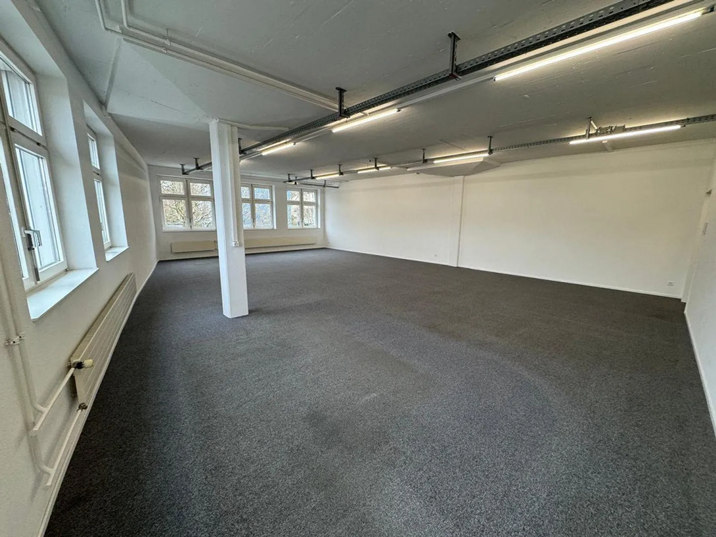 Commercial space in Dierikon in a busy location for rent - Photo 6 of 7