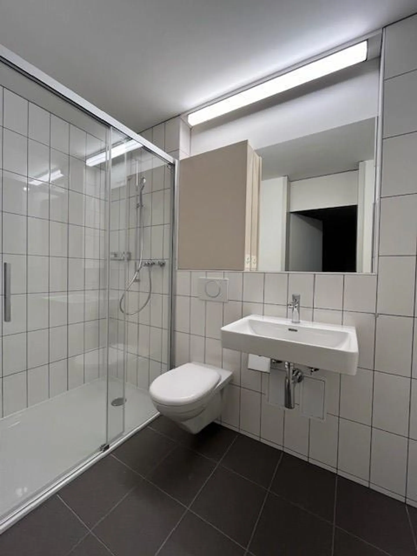 kürzlich sanierte 2.5-Zimmerwohnung mit toller Aussicht zu vermieten! - Foto 2 von 10