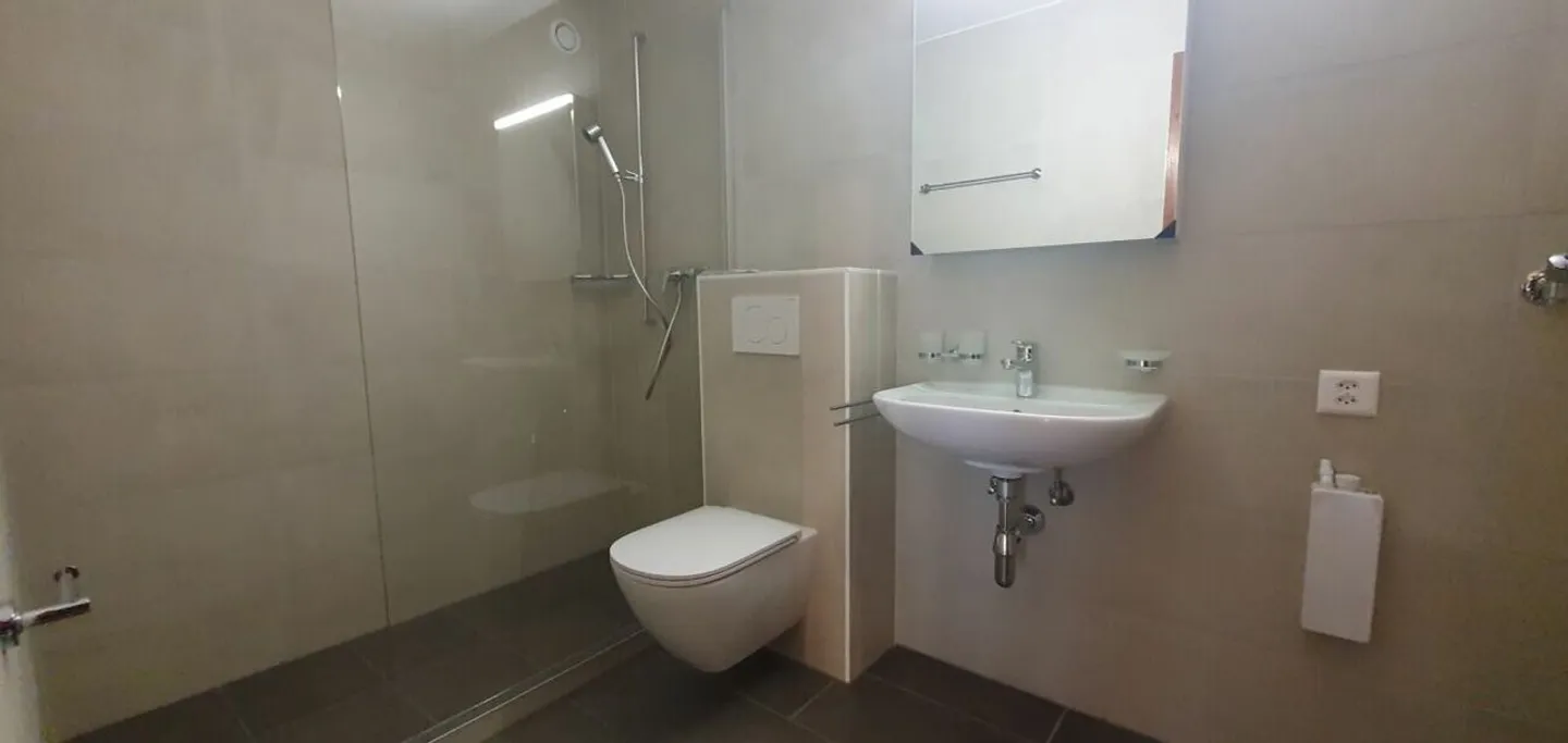 RENOVE - spacieux 3.5 pces avec place de parc dans un quartier tranquille - Foto 13 di 14
