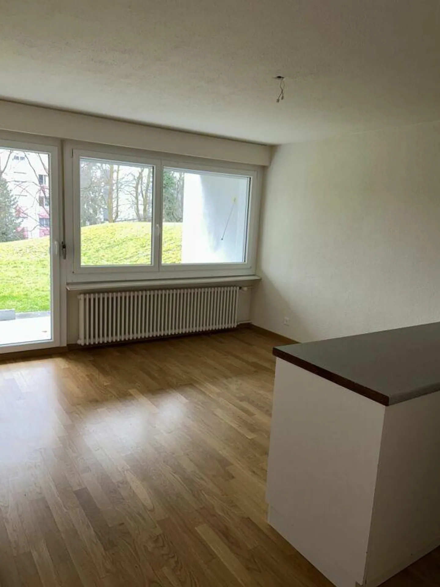 2.5 Room Apartment - Photo 2 of 7