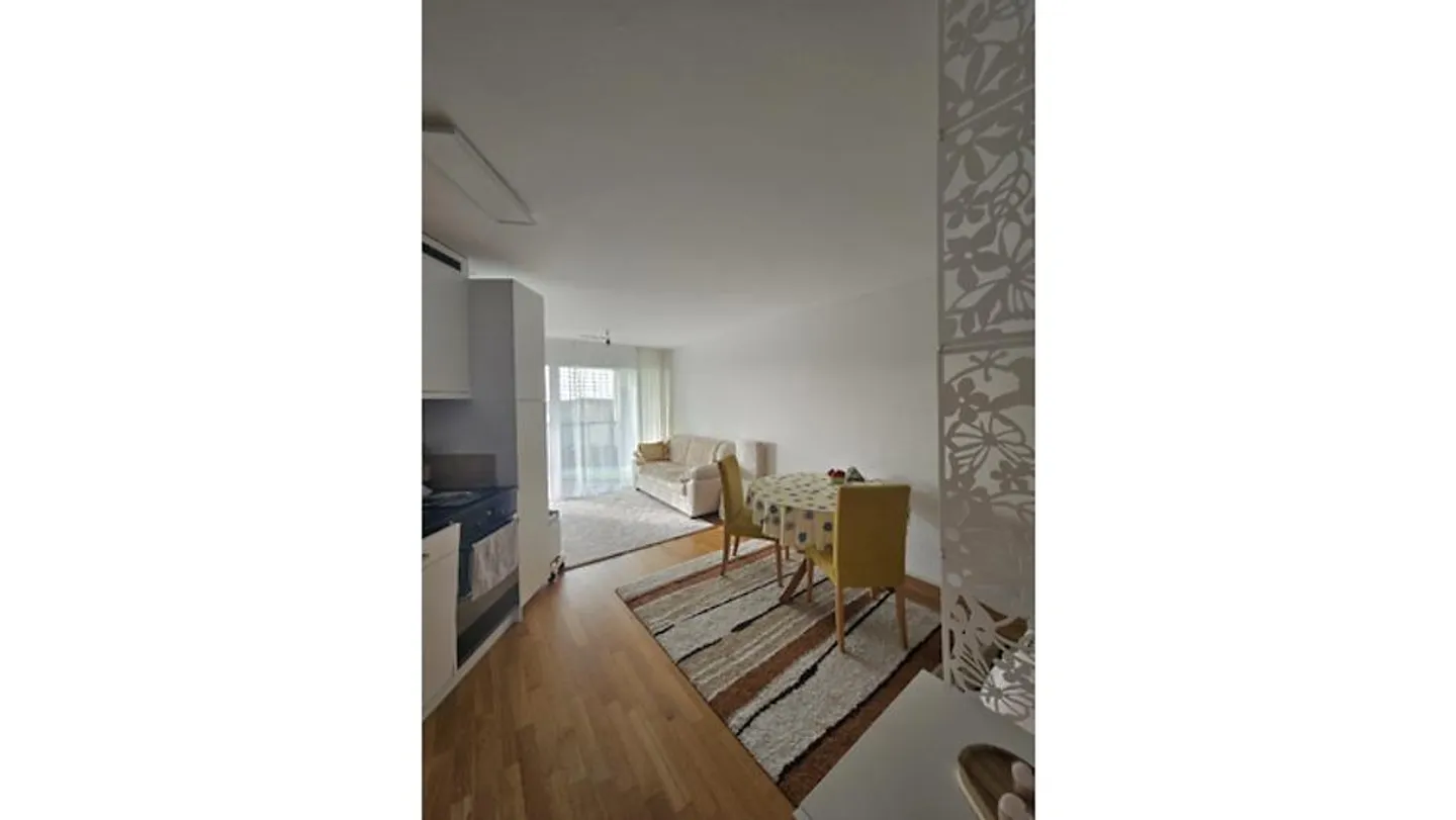 1 ROOM APARTMENT IN USTER (ZH), FURNISHED, TEMPORARY - Photo 3 of 10