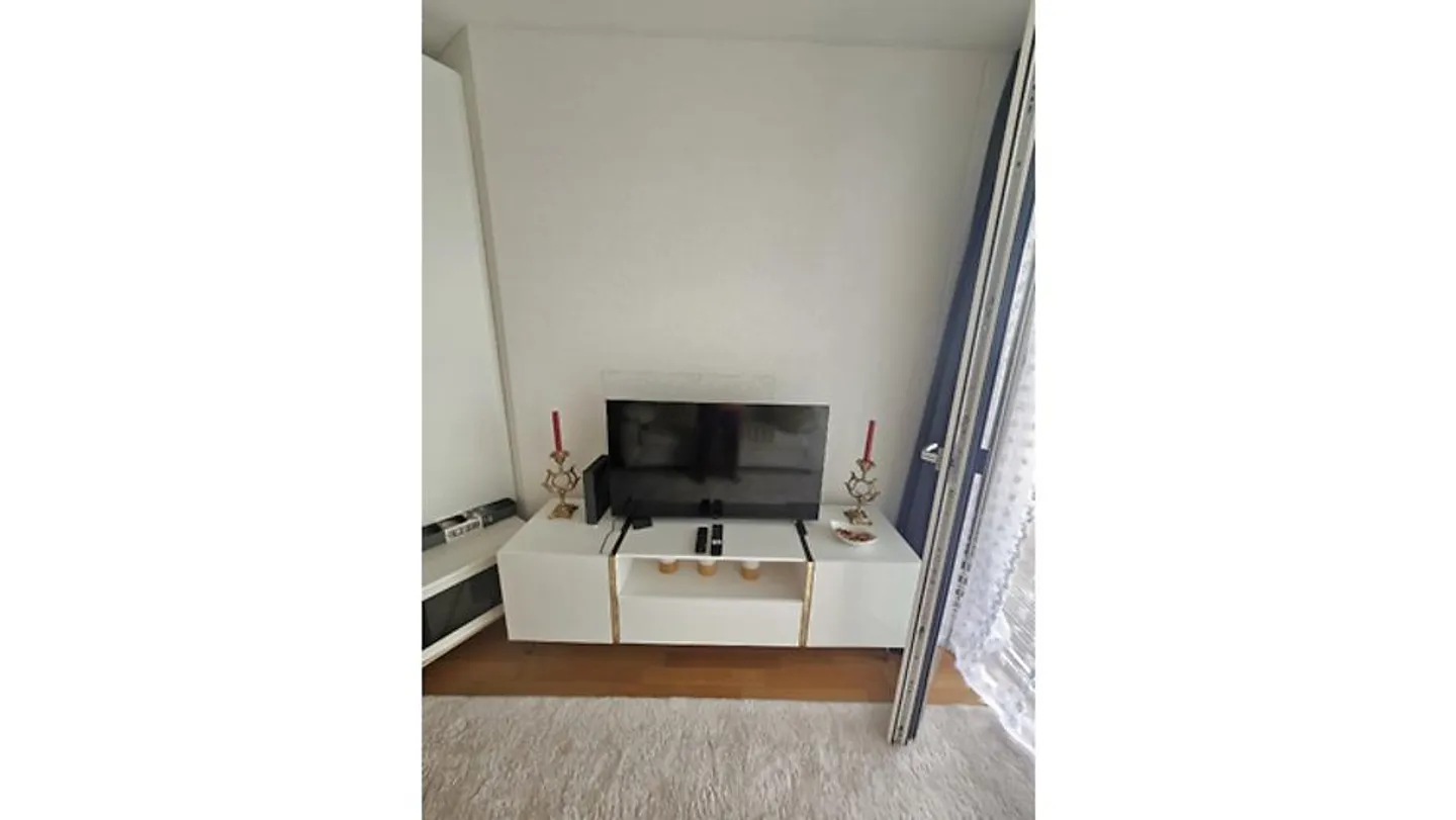 1 ROOM APARTMENT IN USTER (ZH), FURNISHED, TEMPORARY - Photo 2 of 10