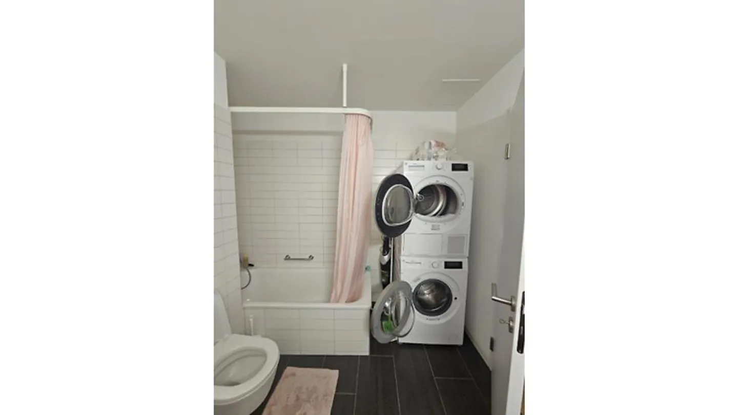 1 ROOM APARTMENT IN USTER (ZH), FURNISHED, TEMPORARY - Photo 8 of 10
