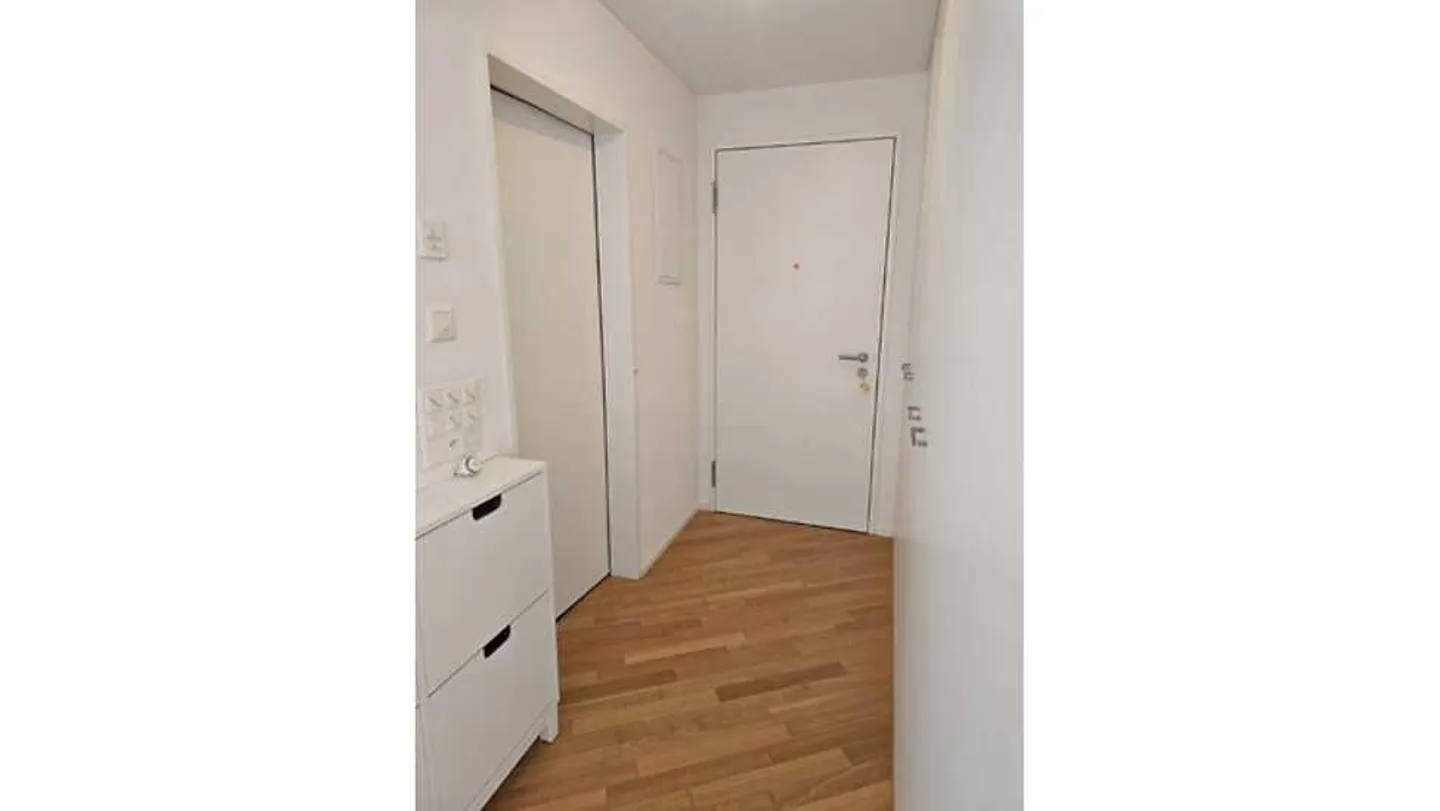 1 ROOM APARTMENT IN USTER (ZH), FURNISHED, TEMPORARY - Photo 7 of 10