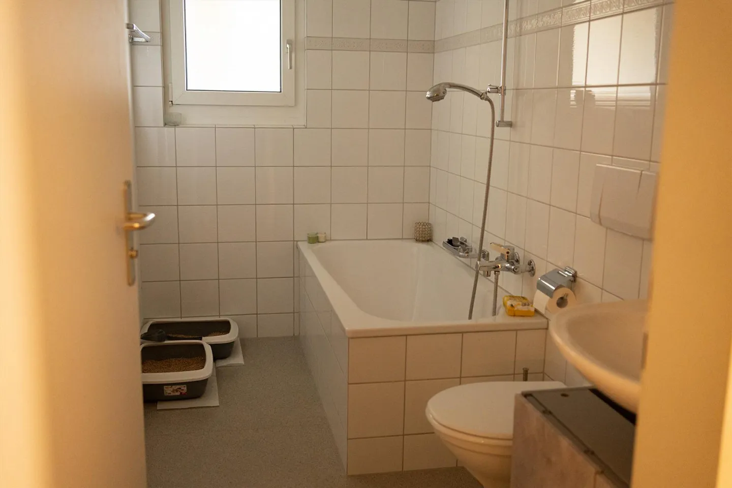 Appartamento 4.5 stanze, 110m2 - Foto 1 di 10