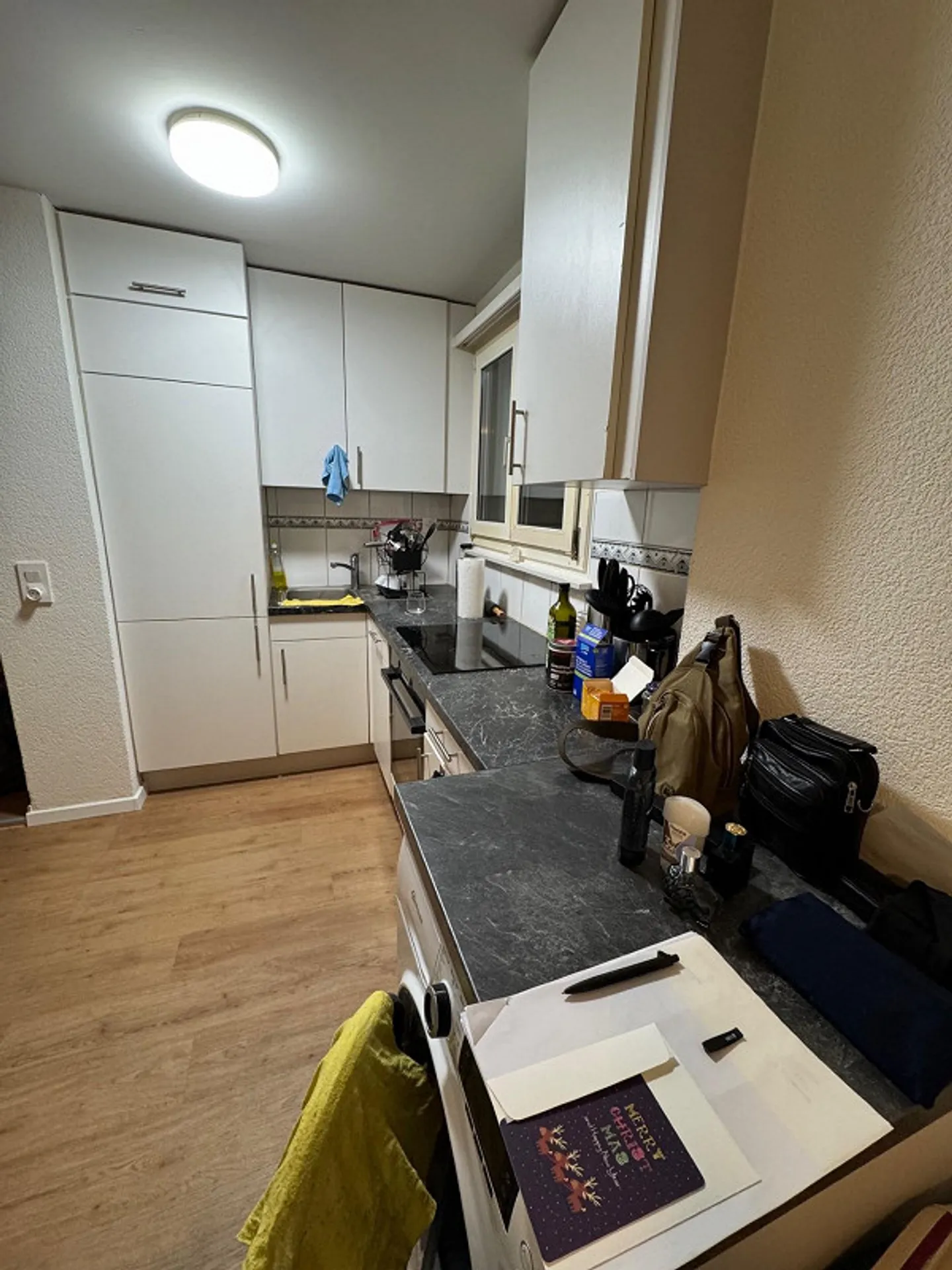 One-room apartment in Zurich with modern kitchen and bathroom on the 1st floor - Photo 12 of 16