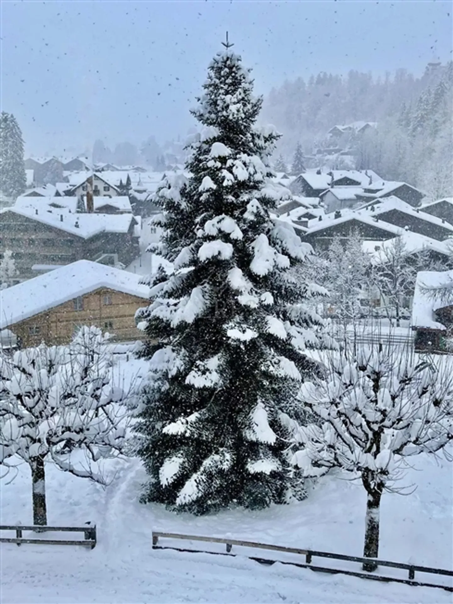 Outstanding Penthouse near the Gstaad Promenade - Photo 20 of 20