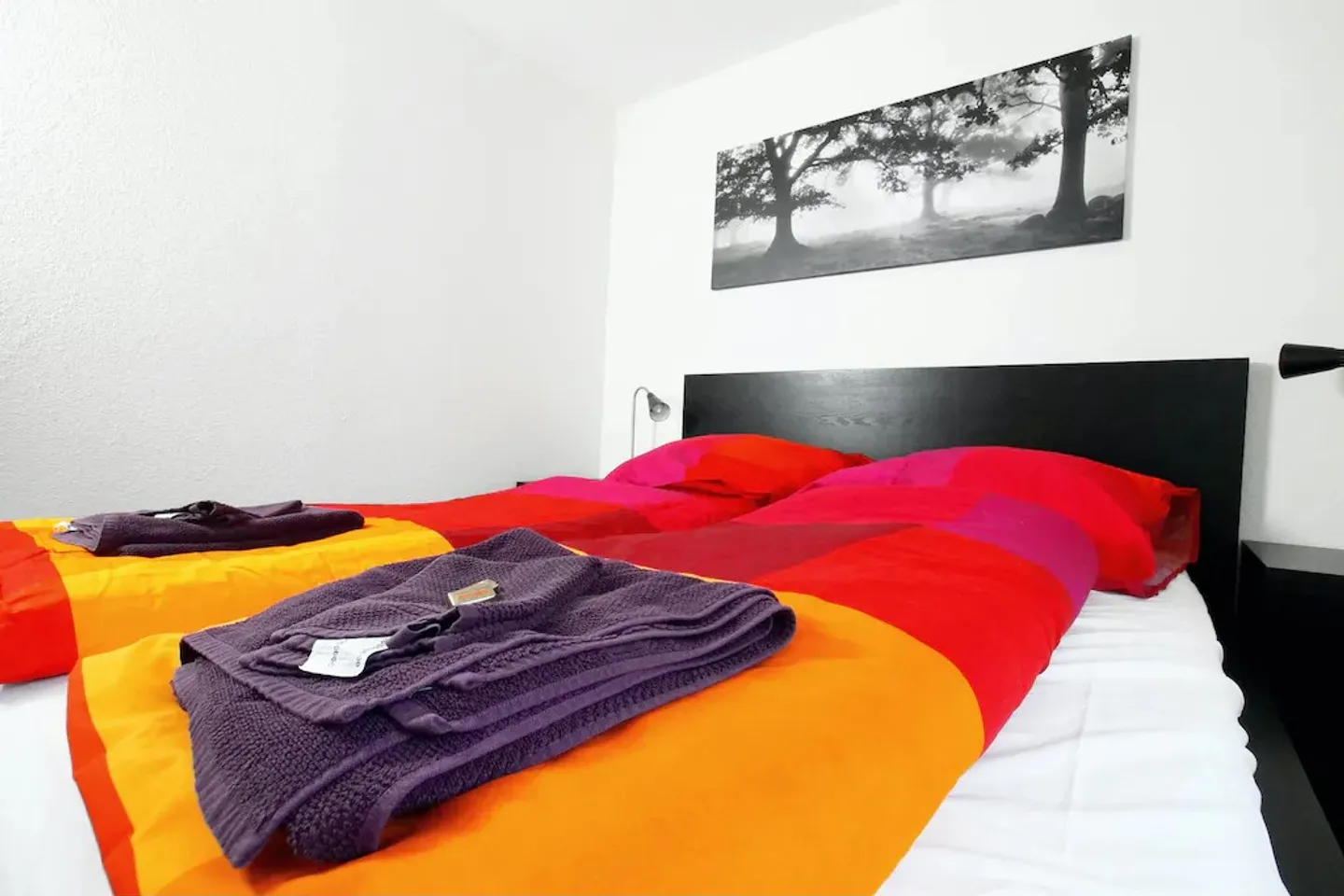 Condo/Appartamento in affitto, Schwamendingenstrasse, a Zurigo, Svizzera - Foto 2 di 10