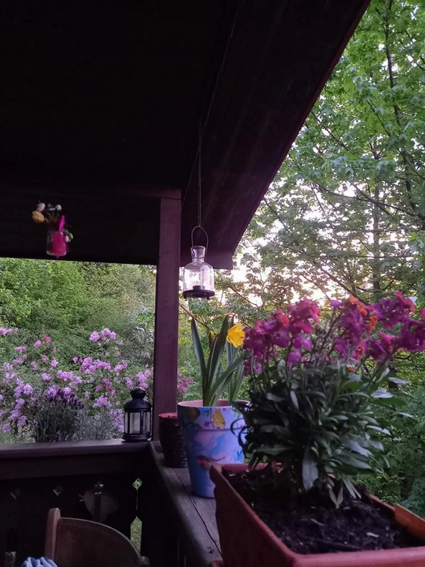 FÜR NATURLIEBHABER UND HOBBYGÄRTNER - Foto 2 von 10