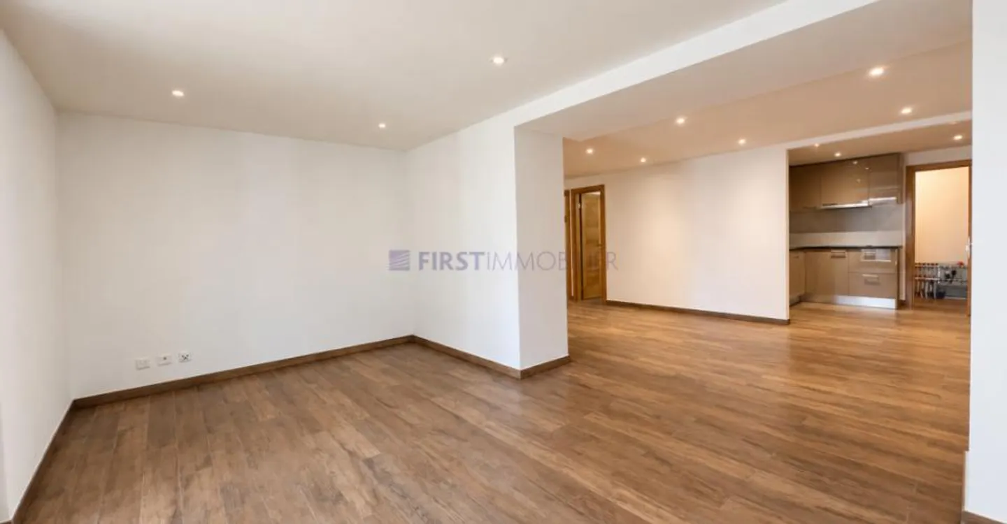Appartement spacieux avec terrasse - Photo 3 sur 12