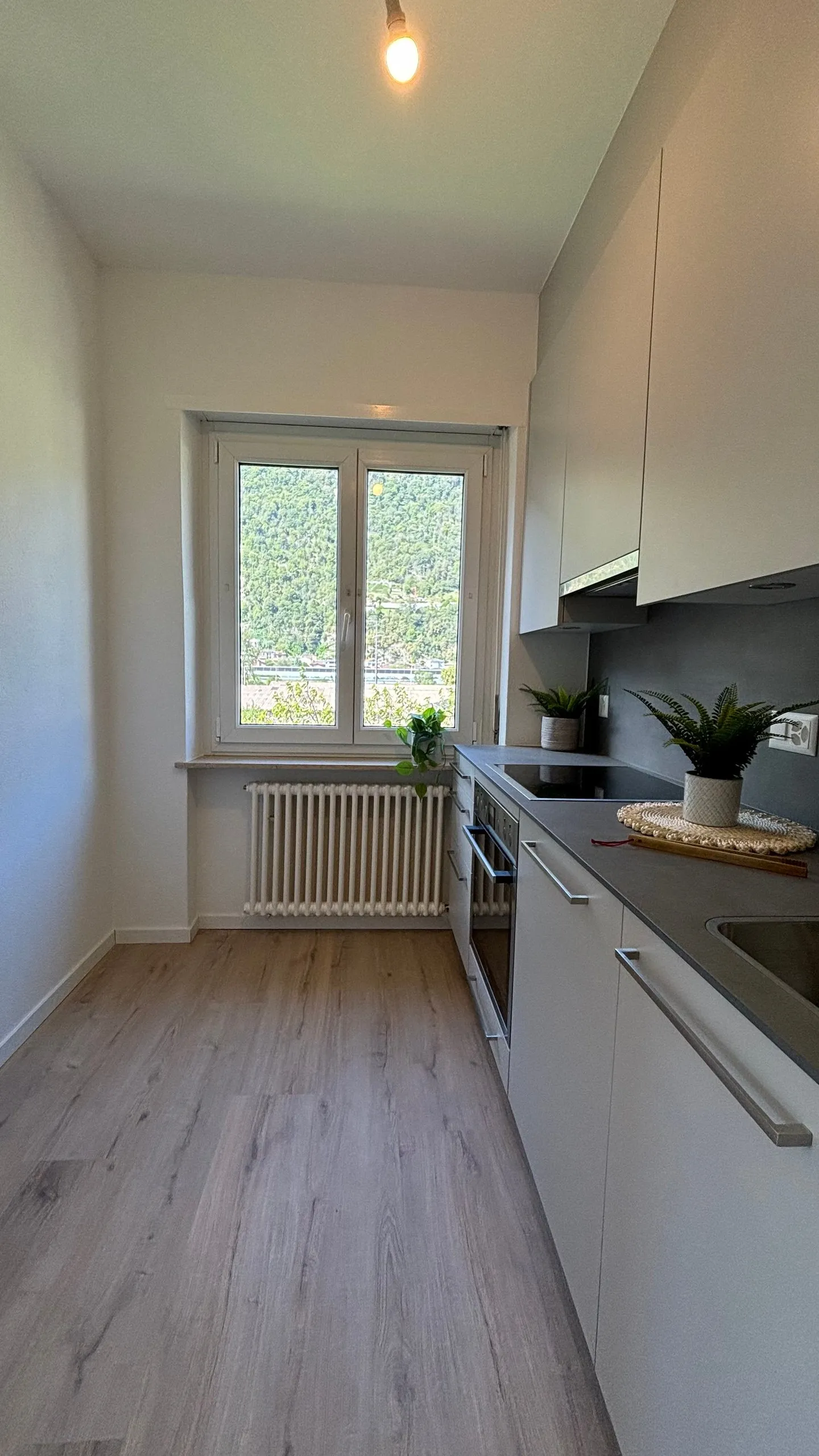 Renovierte Wohnung in Bellinzona - Foto 2 von 12