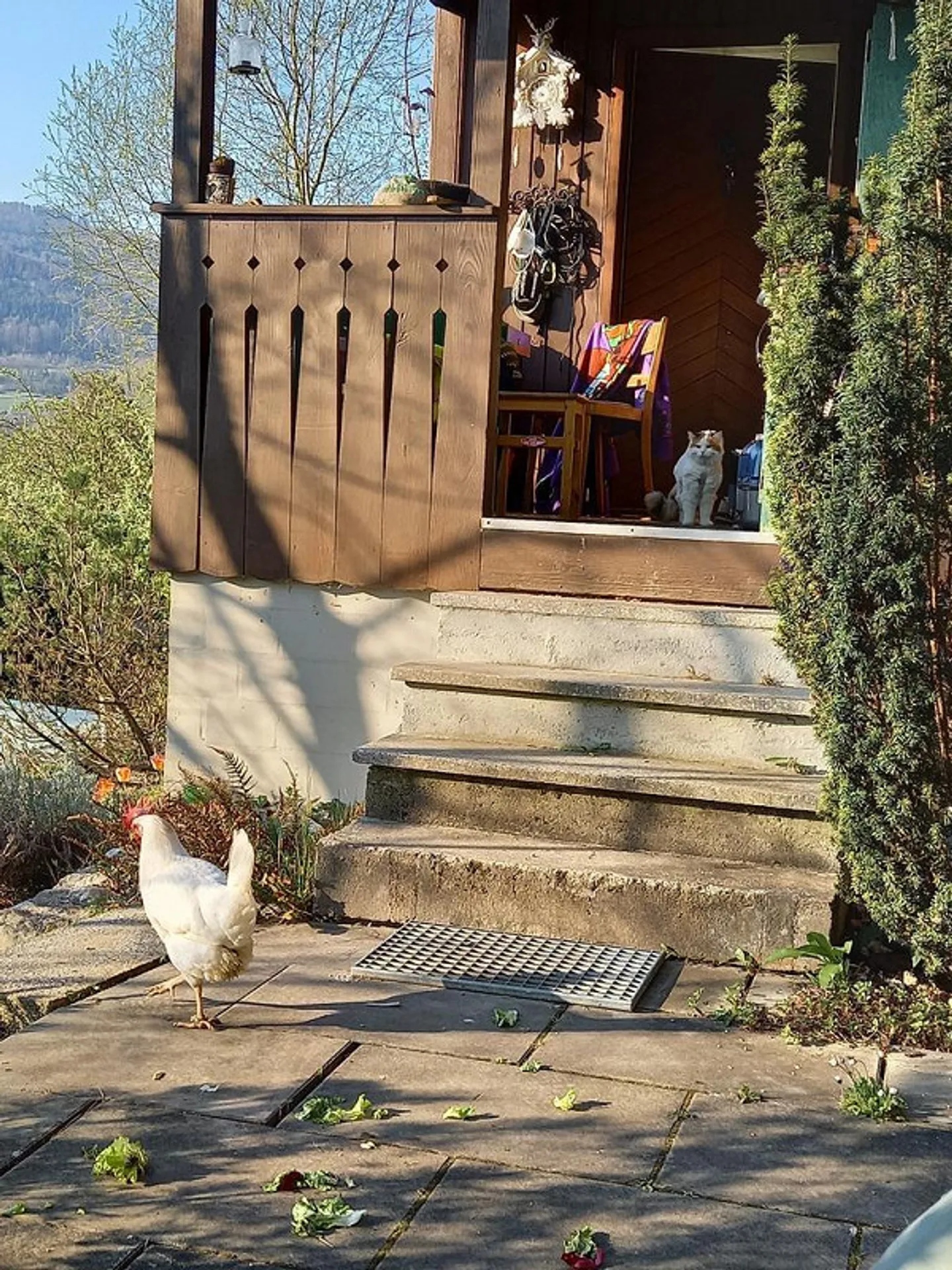 FÜR NATURLIEBHABER UND HOBBYGÄRTNER - Foto 1 von 10