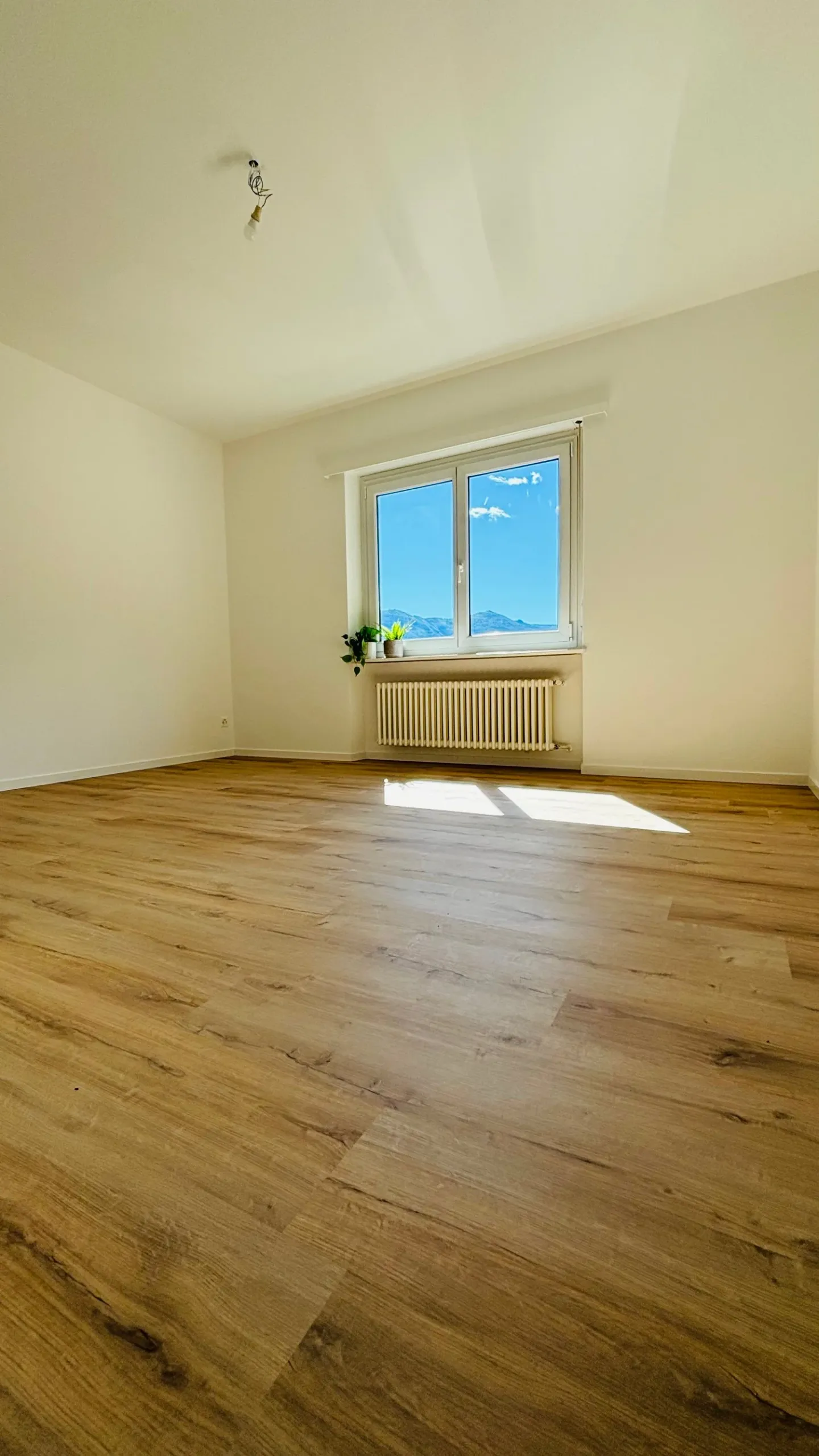 Renovierte Wohnung in Bellinzona - Foto 3 von 12