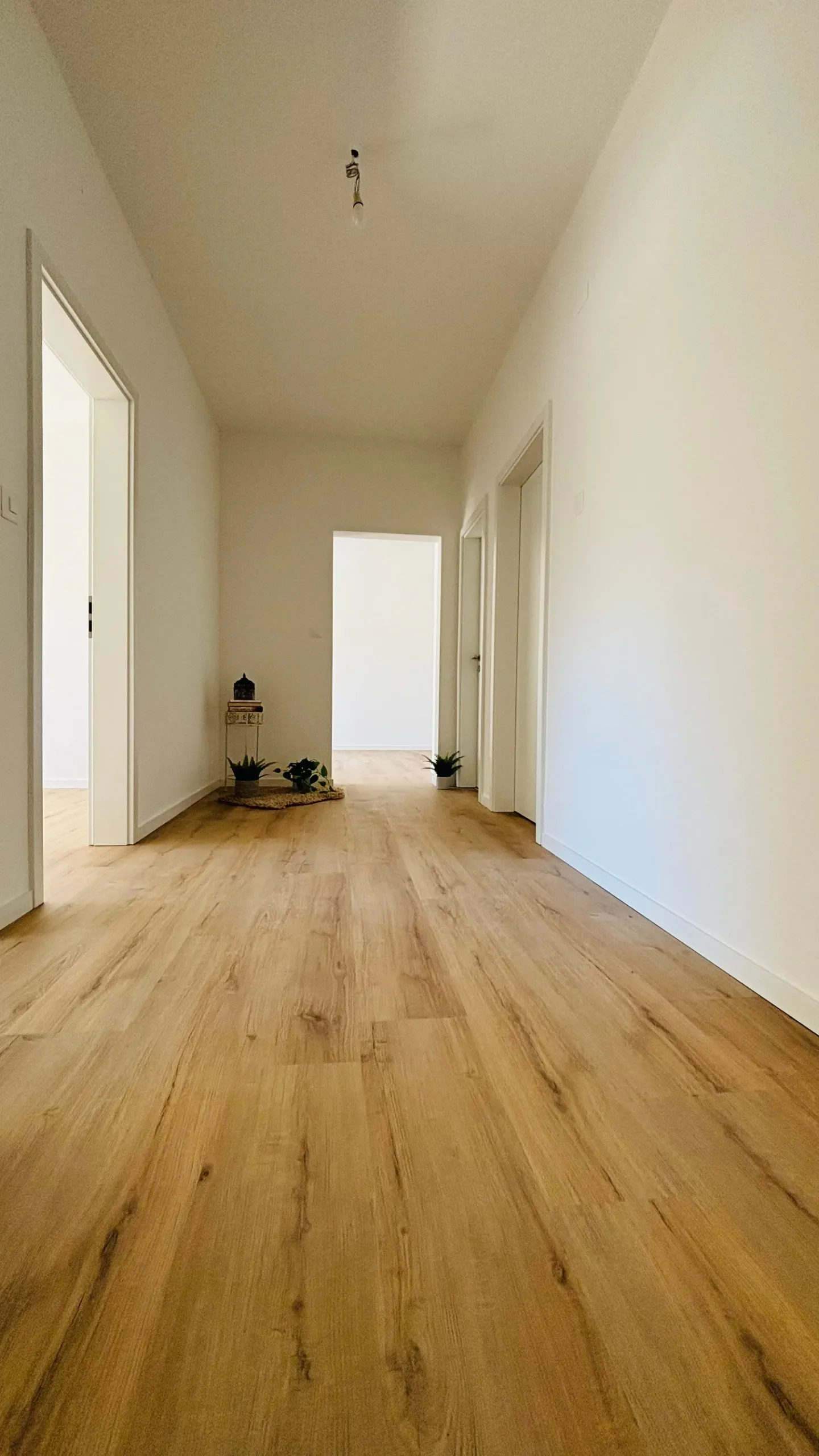 Renovierte Wohnung in Bellinzona - Foto 6 von 12