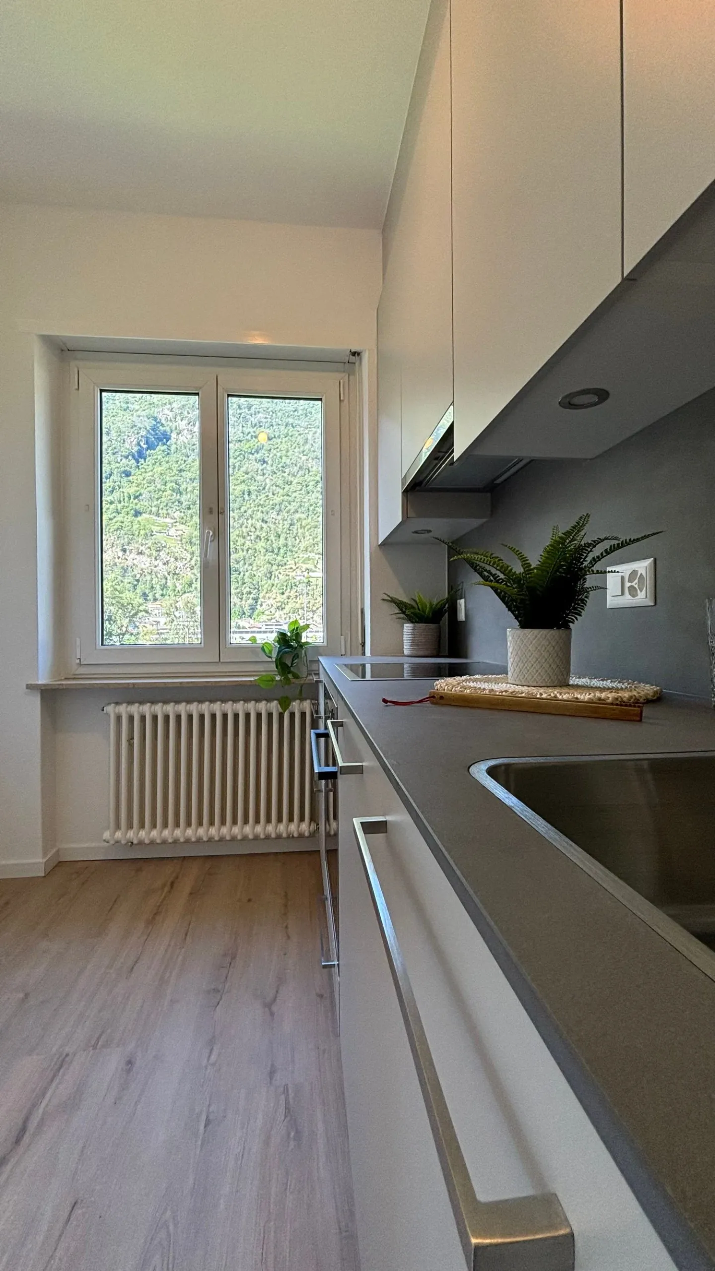 Renovierte Wohnung in Bellinzona - Foto 8 von 12