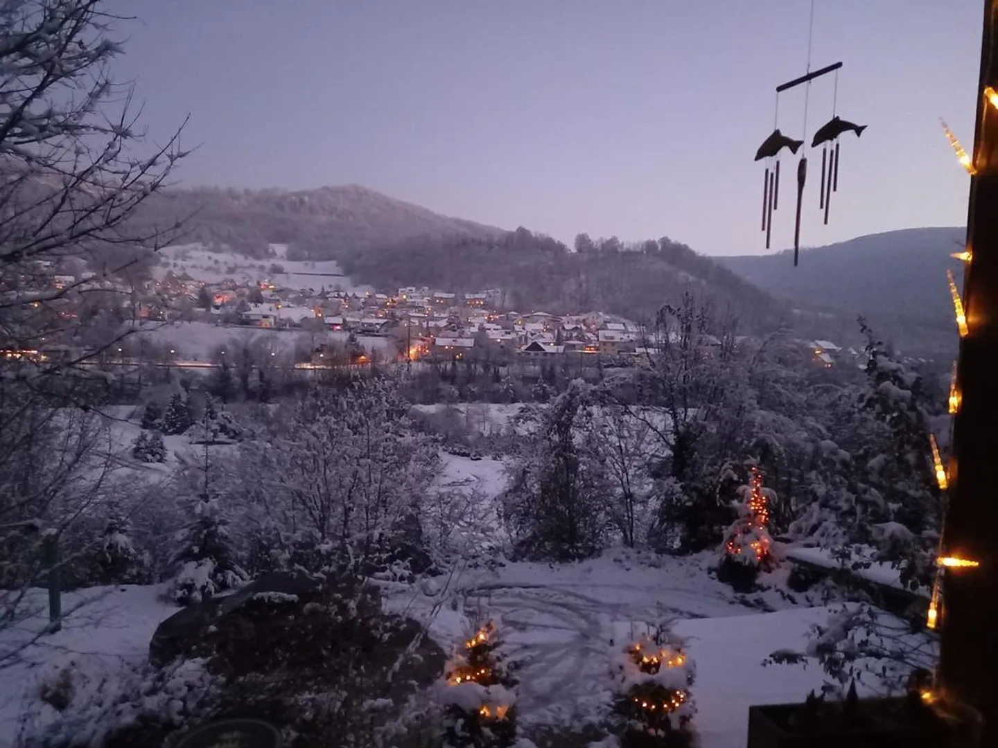 FÜR NATURLIEBHABER UND HOBBYGÄRTNER - Foto 4 von 10