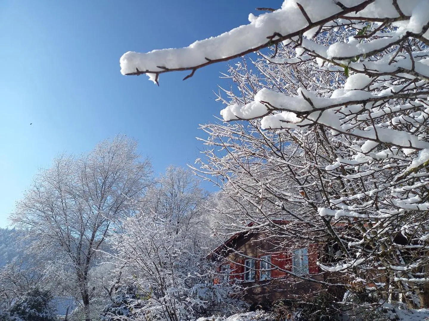 FÜR NATURLIEBHABER UND HOBBYGÄRTNER - Foto 5 von 10