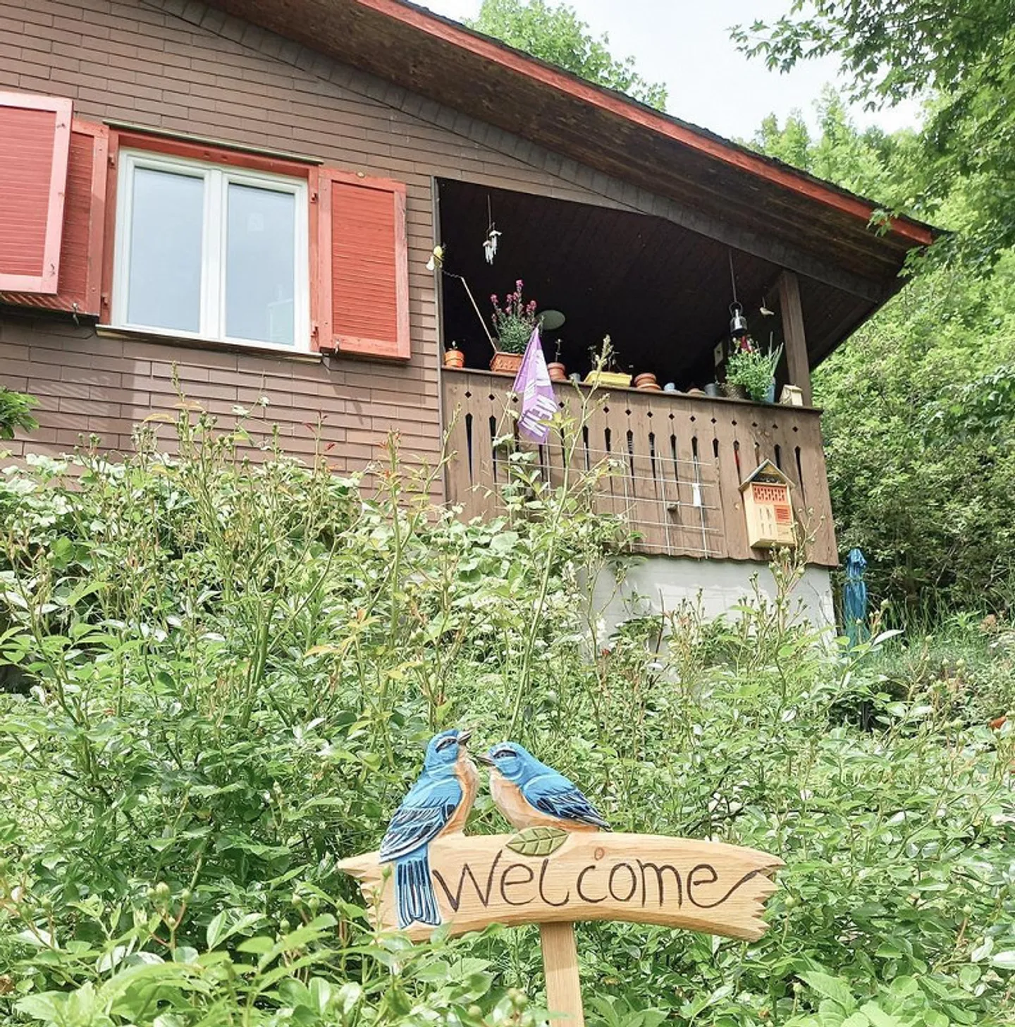 FÜR NATURLIEBHABER UND HOBBYGÄRTNER - Foto 3 von 10