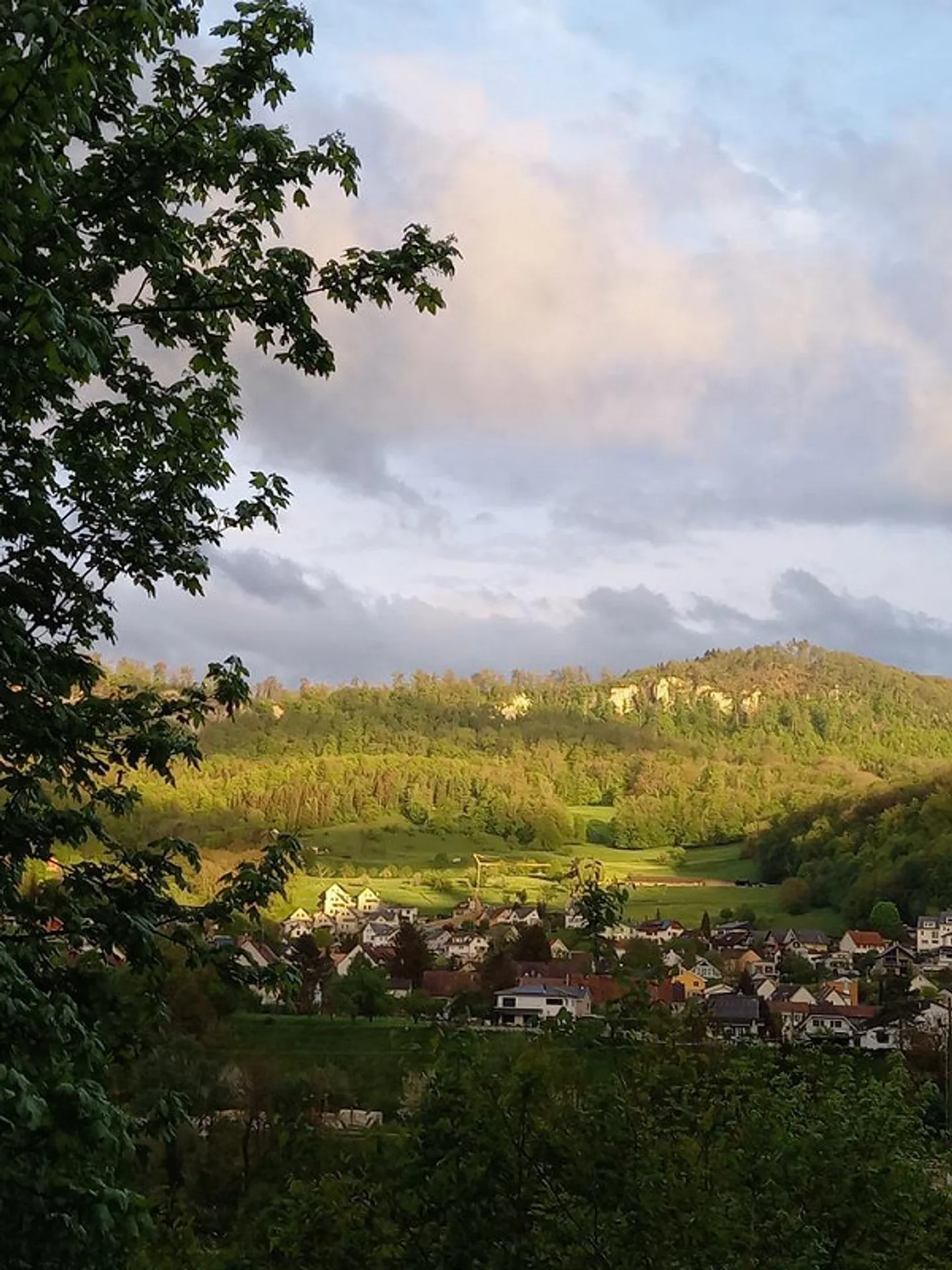 FÜR NATURLIEBHABER UND HOBBYGÄRTNER - Foto 6 von 10