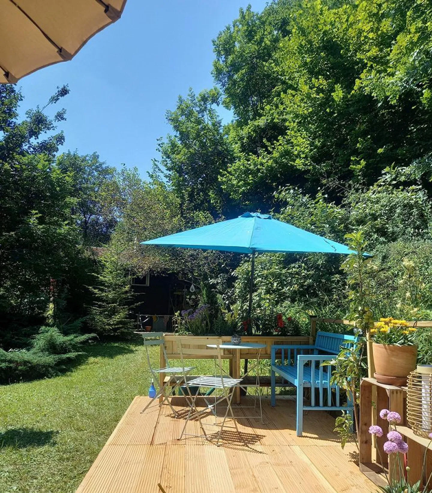 FÜR NATURLIEBHABER UND HOBBYGÄRTNER - Foto 8 von 10