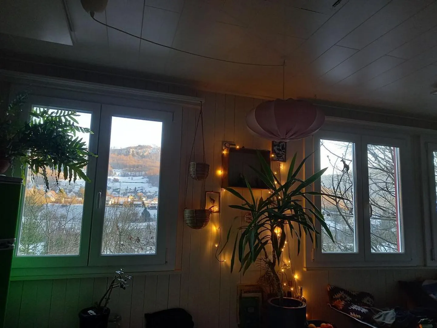 FÜR NATURLIEBHABER UND HOBBYGÄRTNER - Foto 9 von 10