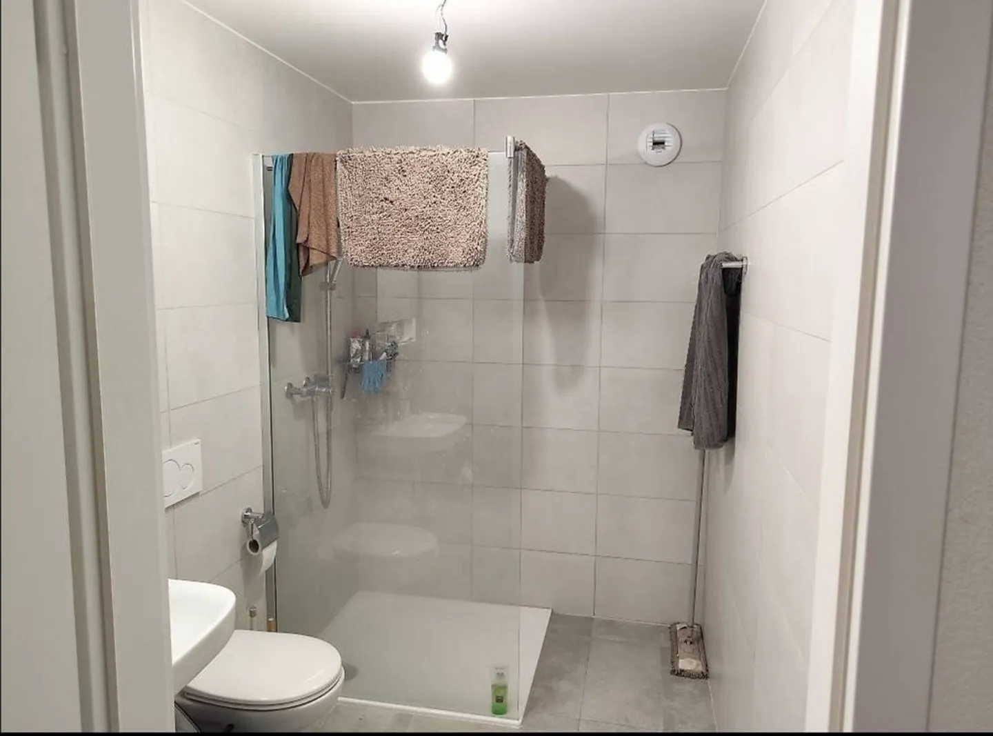 2.5 Room Apartment - Photo 4 of 4