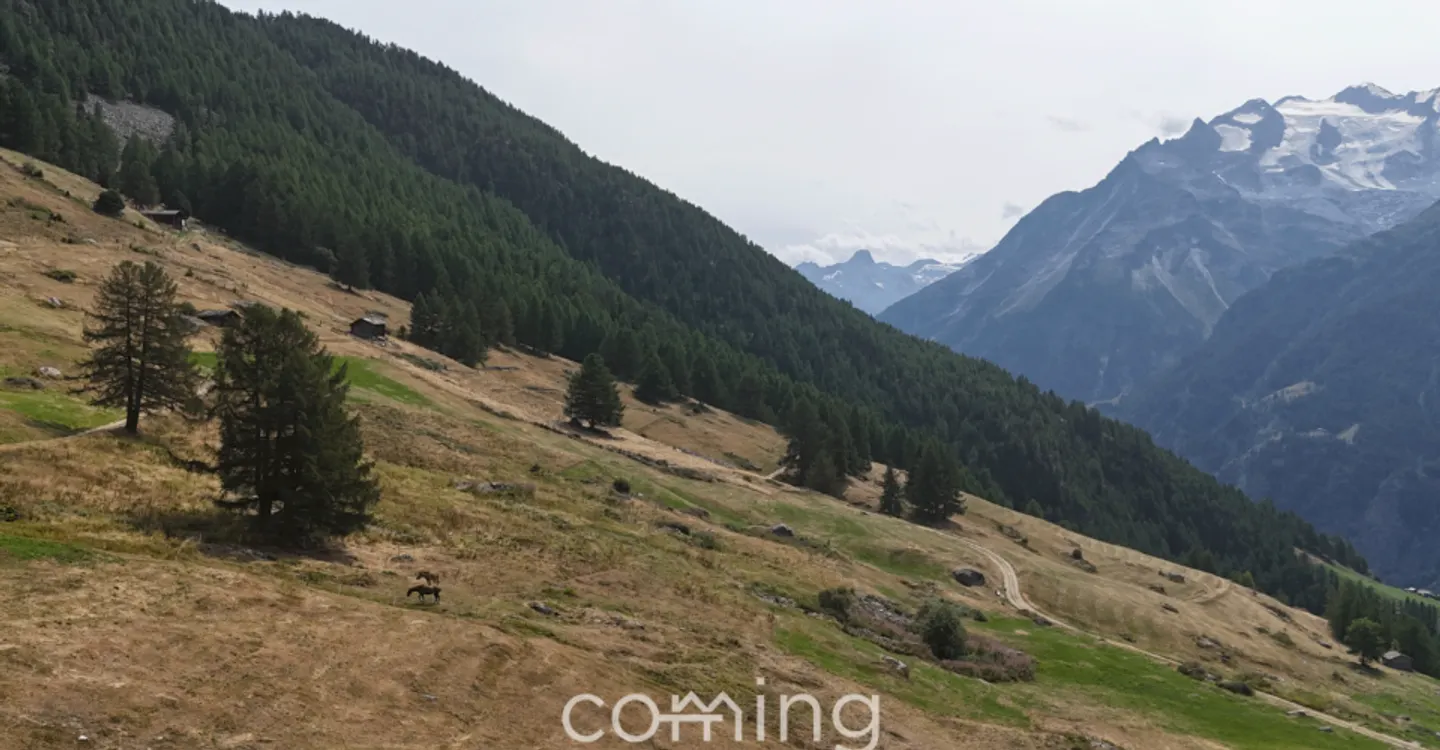 Il tuo terreno edificabile nelle Alpi vallesane - Gspon, soleggiato, alpino e con vista panoramica - Foto 2 di 8