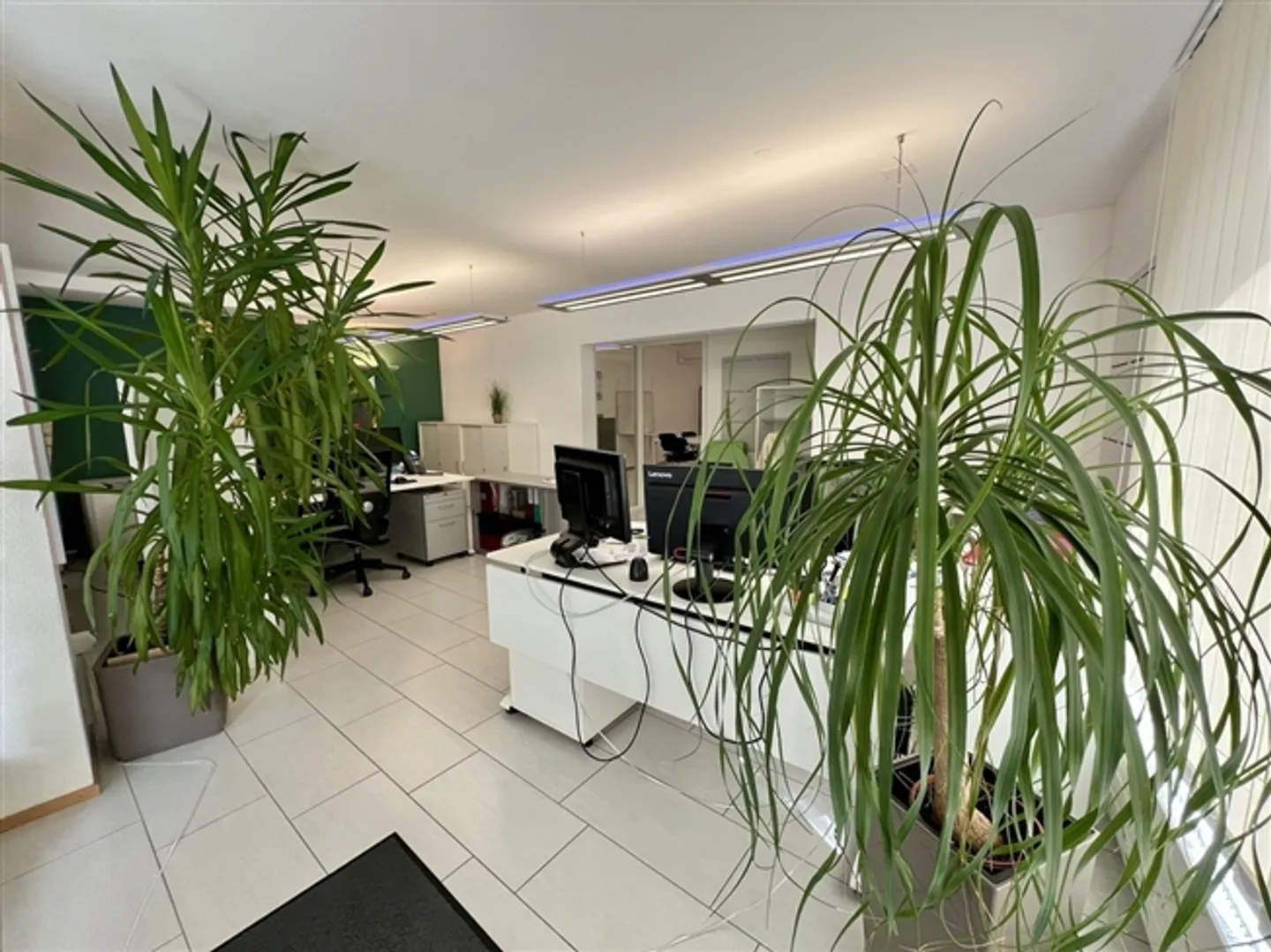 FOR RENT in ESTAVAYER-LE-LAC
Commercial space on the ground floor - Photo 3 of 12