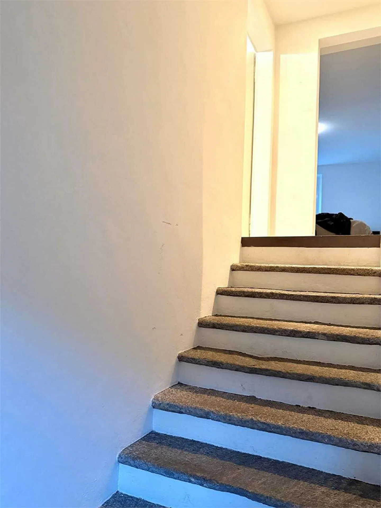 Modern 4.5-room apartment with lake view in Curio - Photo 11 of 11