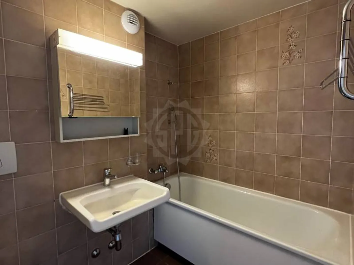 Bel appartamento - Carouge - Foto 4 di 8