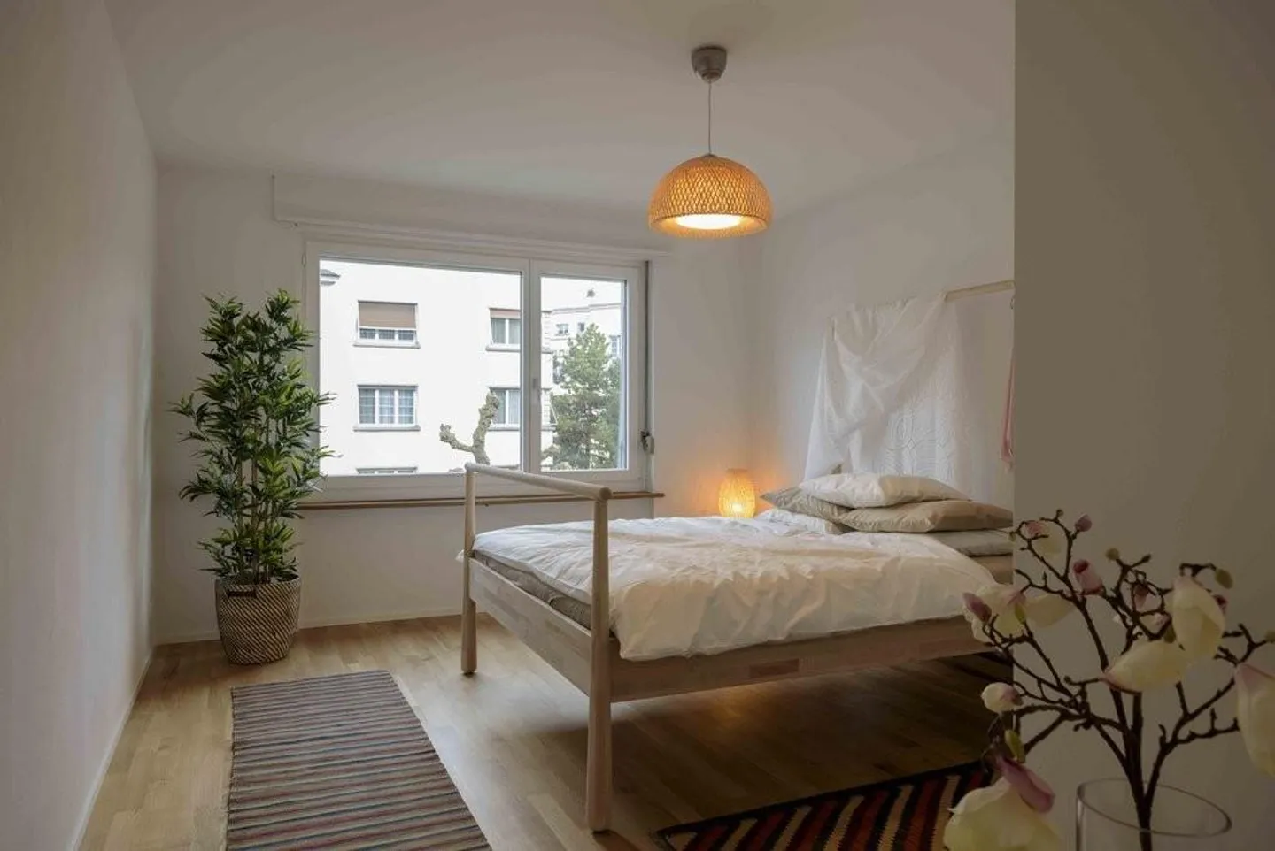 Vita centrale - Foto 4 di 7