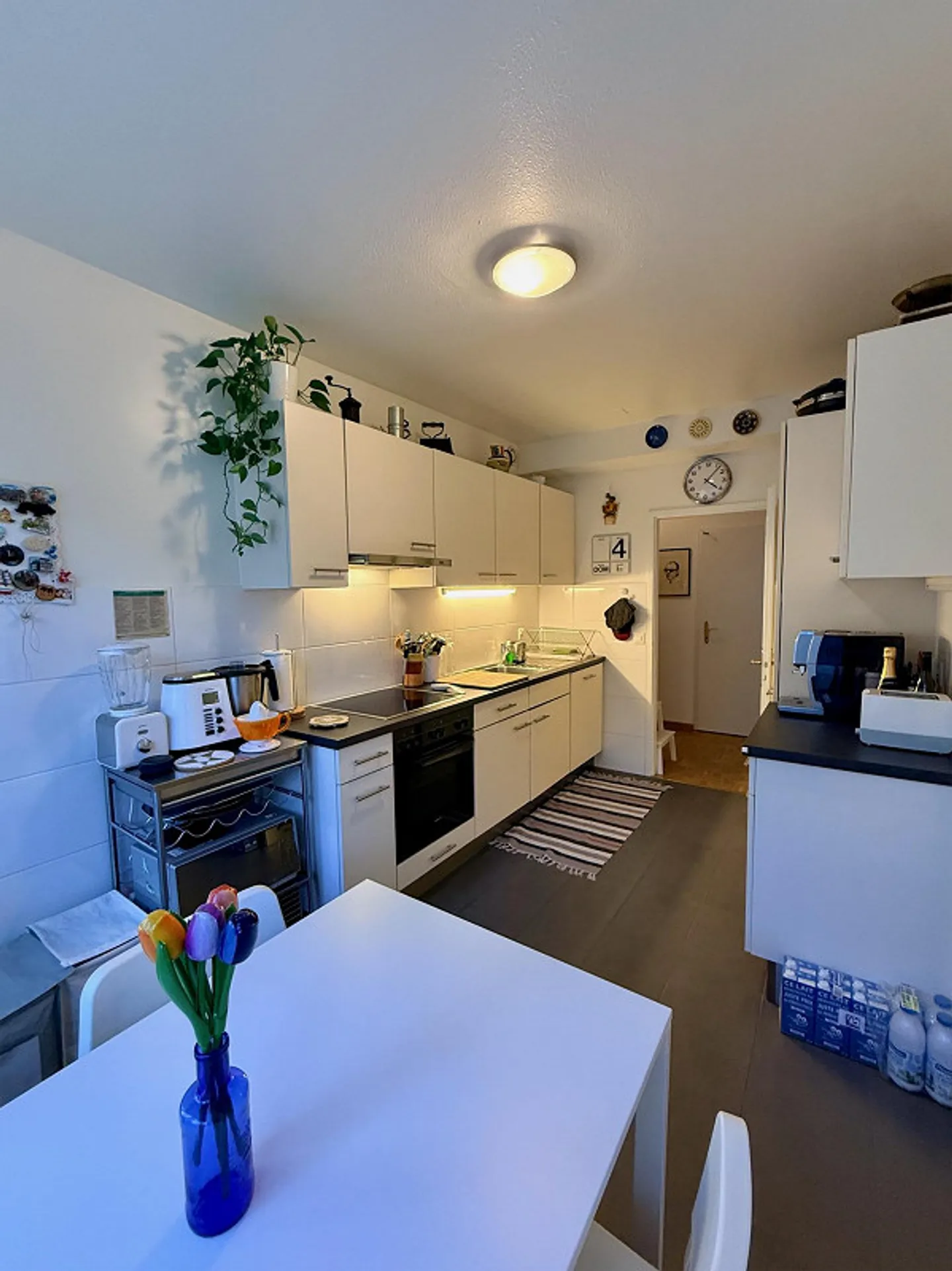 Lease takeover 5.5 rooms Chemin de la Boisserette - Geneva - Photo 3 of 14