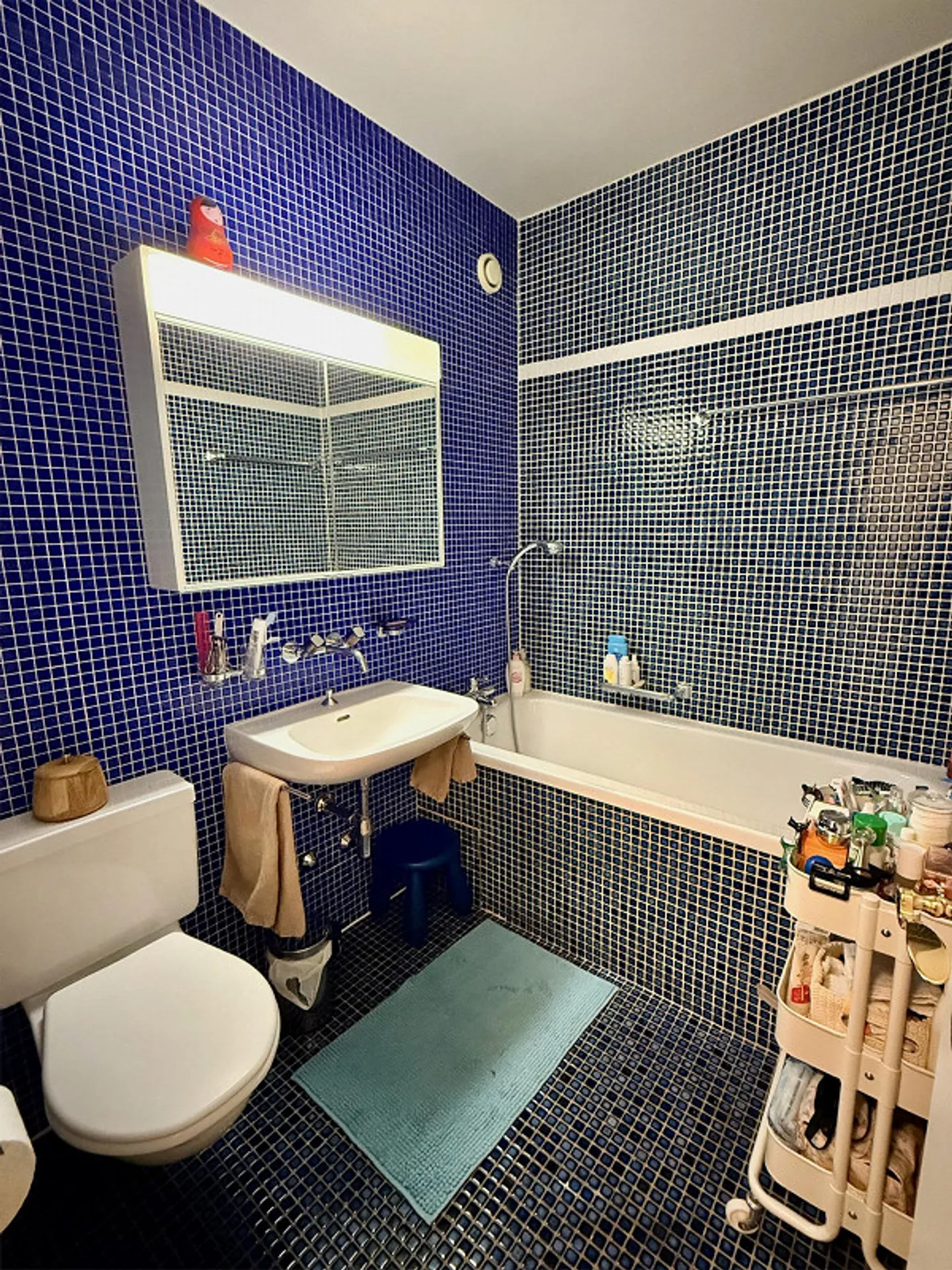 Lease takeover 5.5 rooms Chemin de la Boisserette - Geneva - Photo 11 of 14