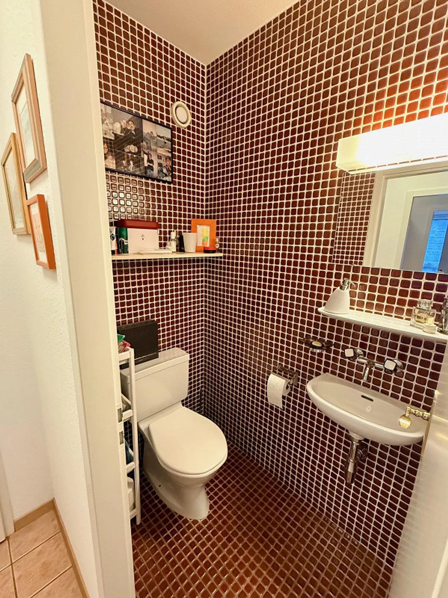 Lease takeover 5.5 rooms Chemin de la Boisserette - Geneva - Photo 13 of 14