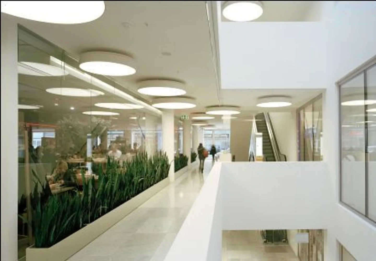 Expanded hall in the city center with ventilation and escalator access - Photo 5 of 6