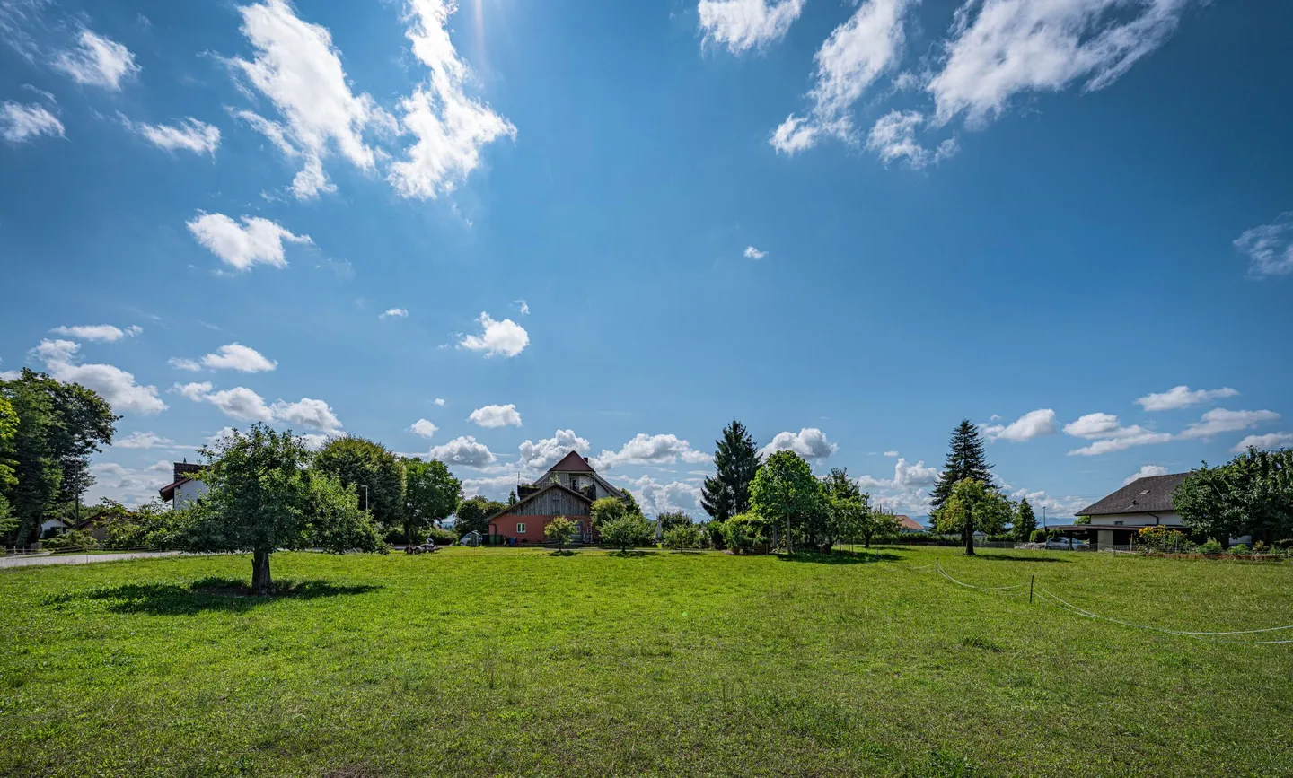 TERRENO CON UN'ALTA UTILIZZAZIONE - Foto 4 di 8