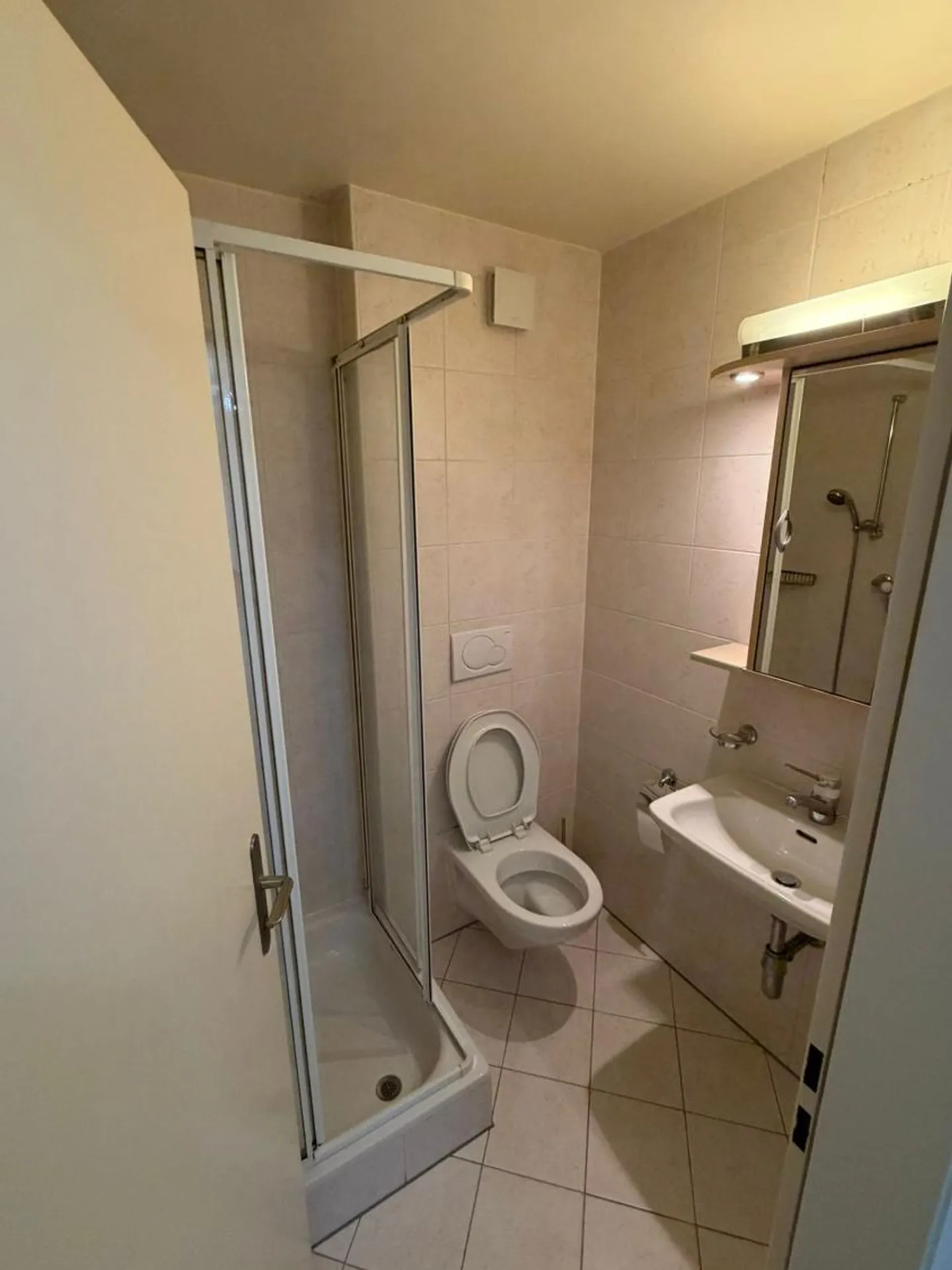 Maison individuelle à Chambésy - Photo 15 sur 18