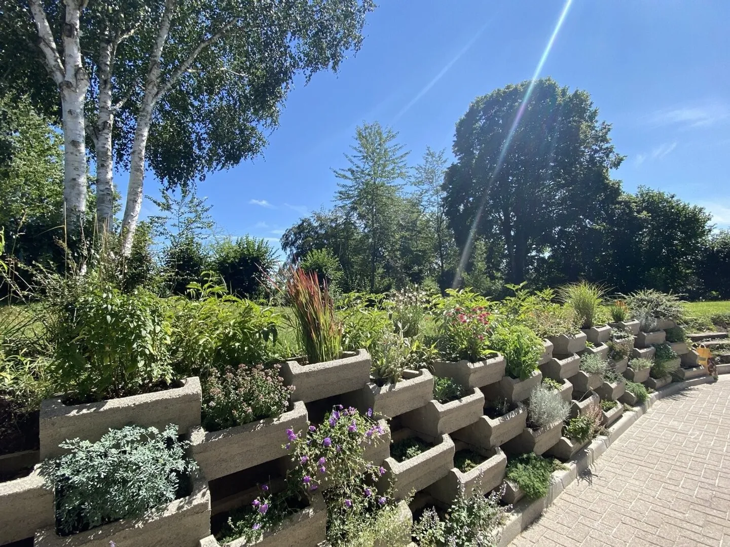 RFSA präsentiert: 127 m² gehobenen Standards am Waldrand - Courtepin. - Foto 2 von 13