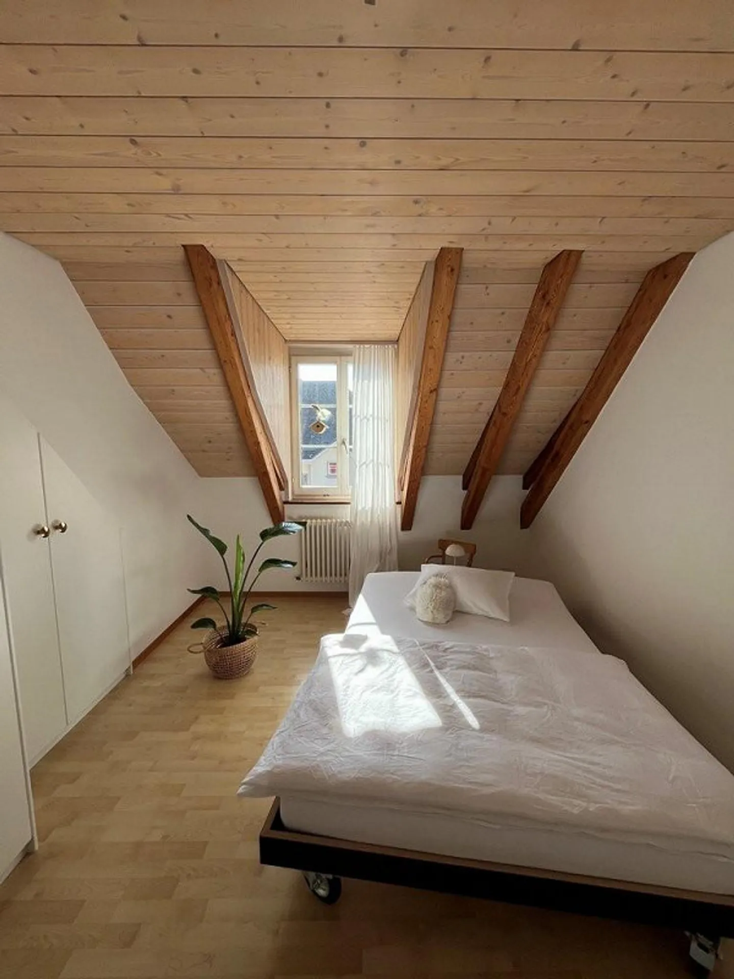 Magnifique appartement sous les combles de 2,5 pièces à louer à Berne - Photo 2 sur 5