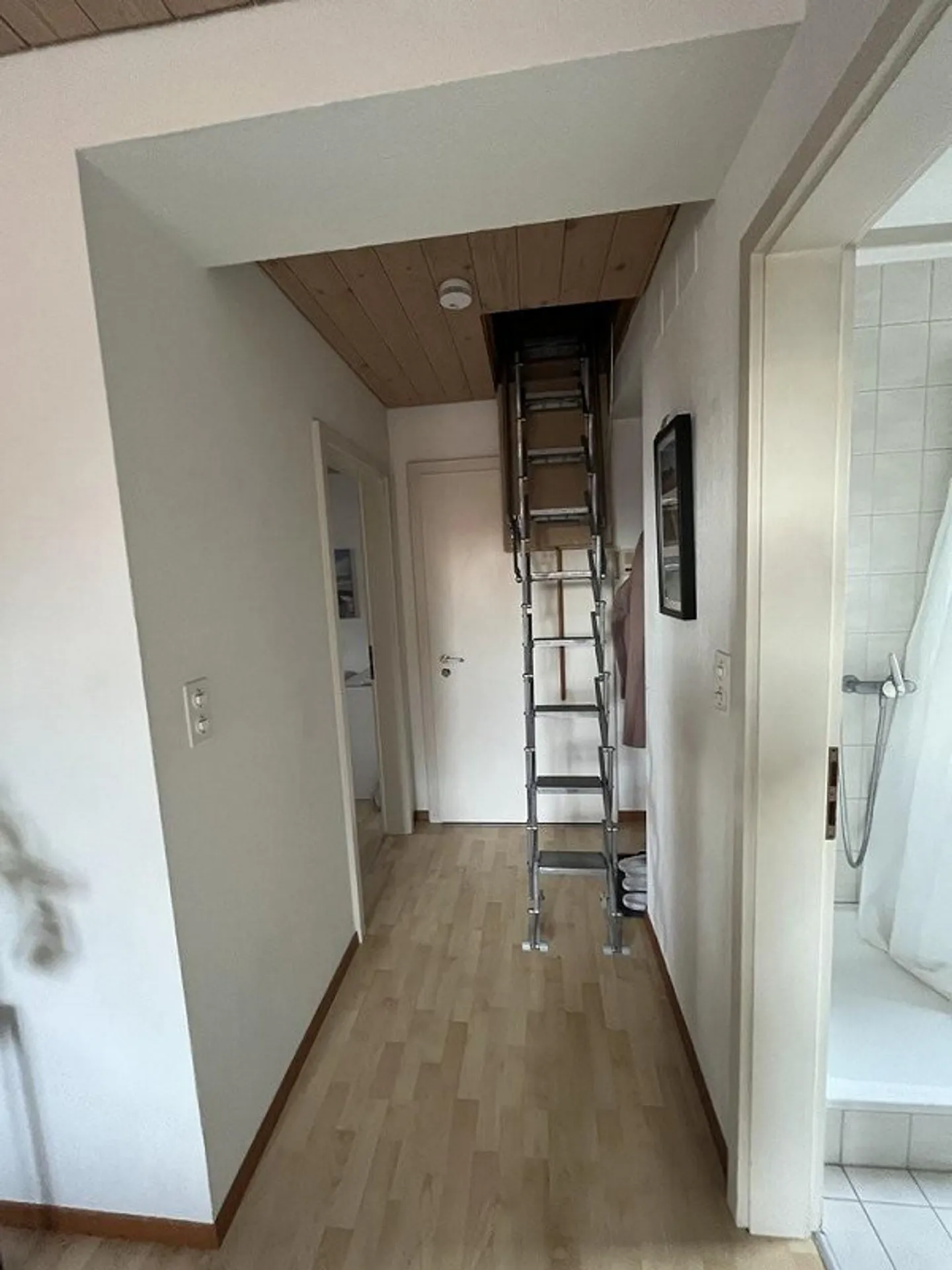 Magnifique appartement sous les combles de 2,5 pièces à louer à Berne - Photo 5 sur 5