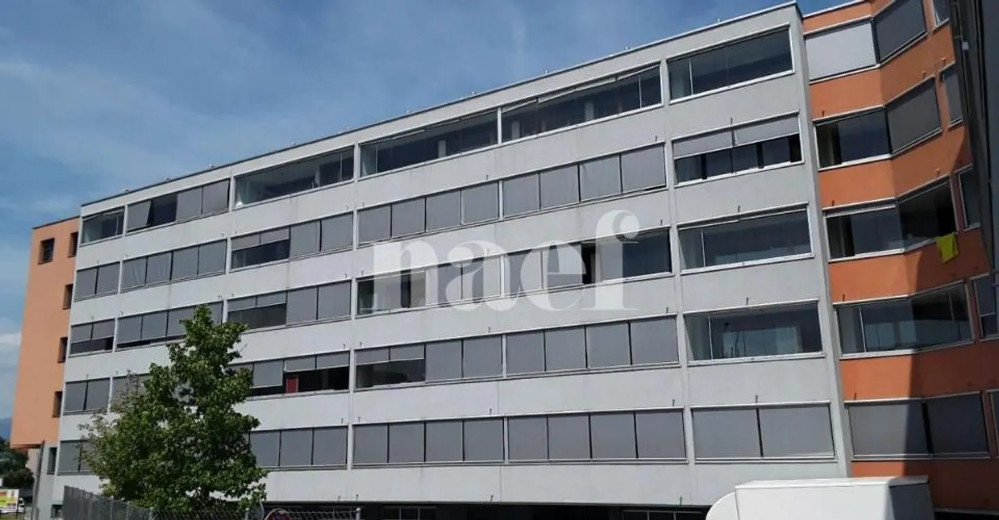 Charmantes Appartement in Grand-Saconnex - Foto 1 von 5