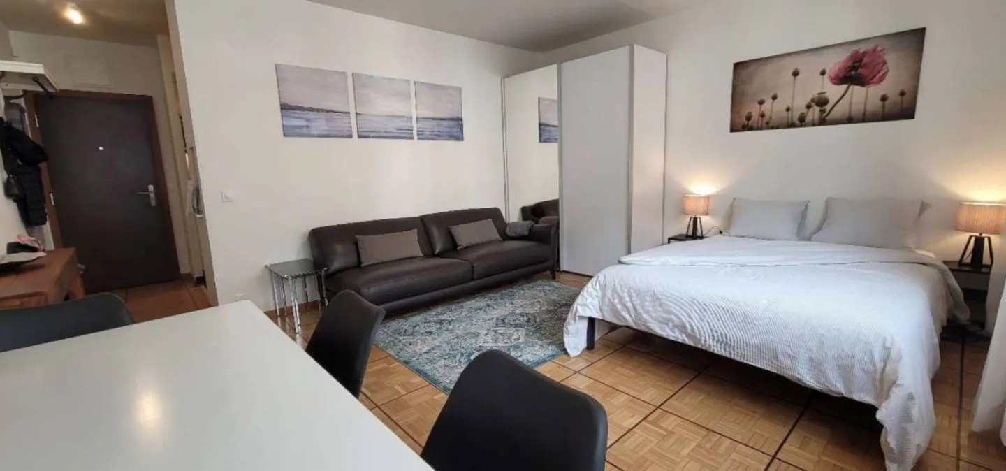 Appartement 1 pièce à Genève - Photo 3 sur 12