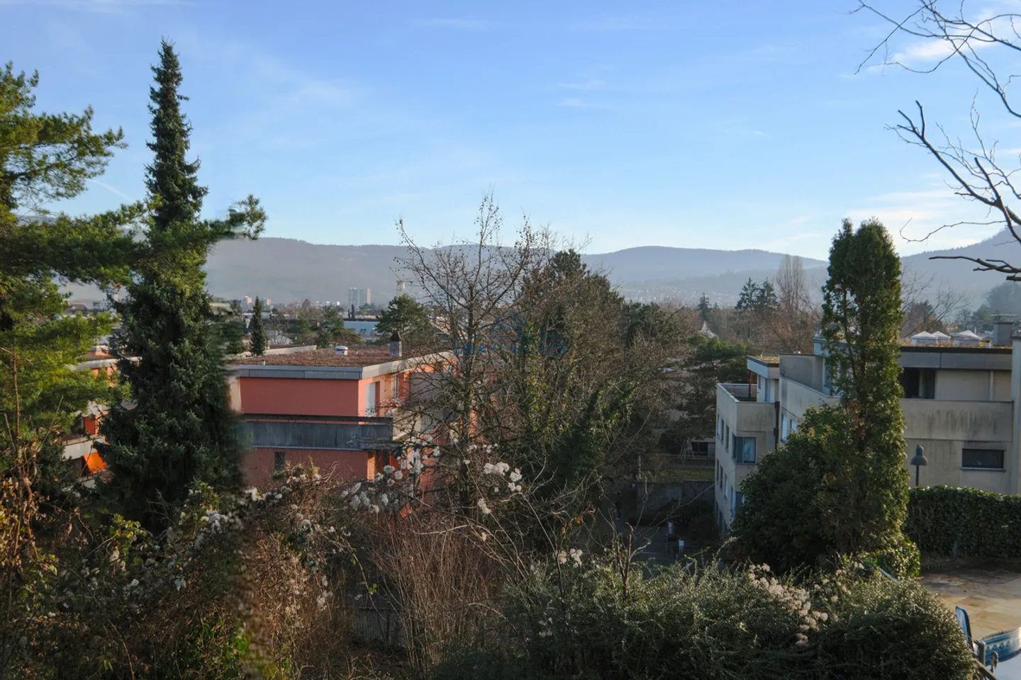 Wohnen am Rebberg von Reinach, Haus mit Weitsicht &amp; grossem Garten - Foto 5 von 13